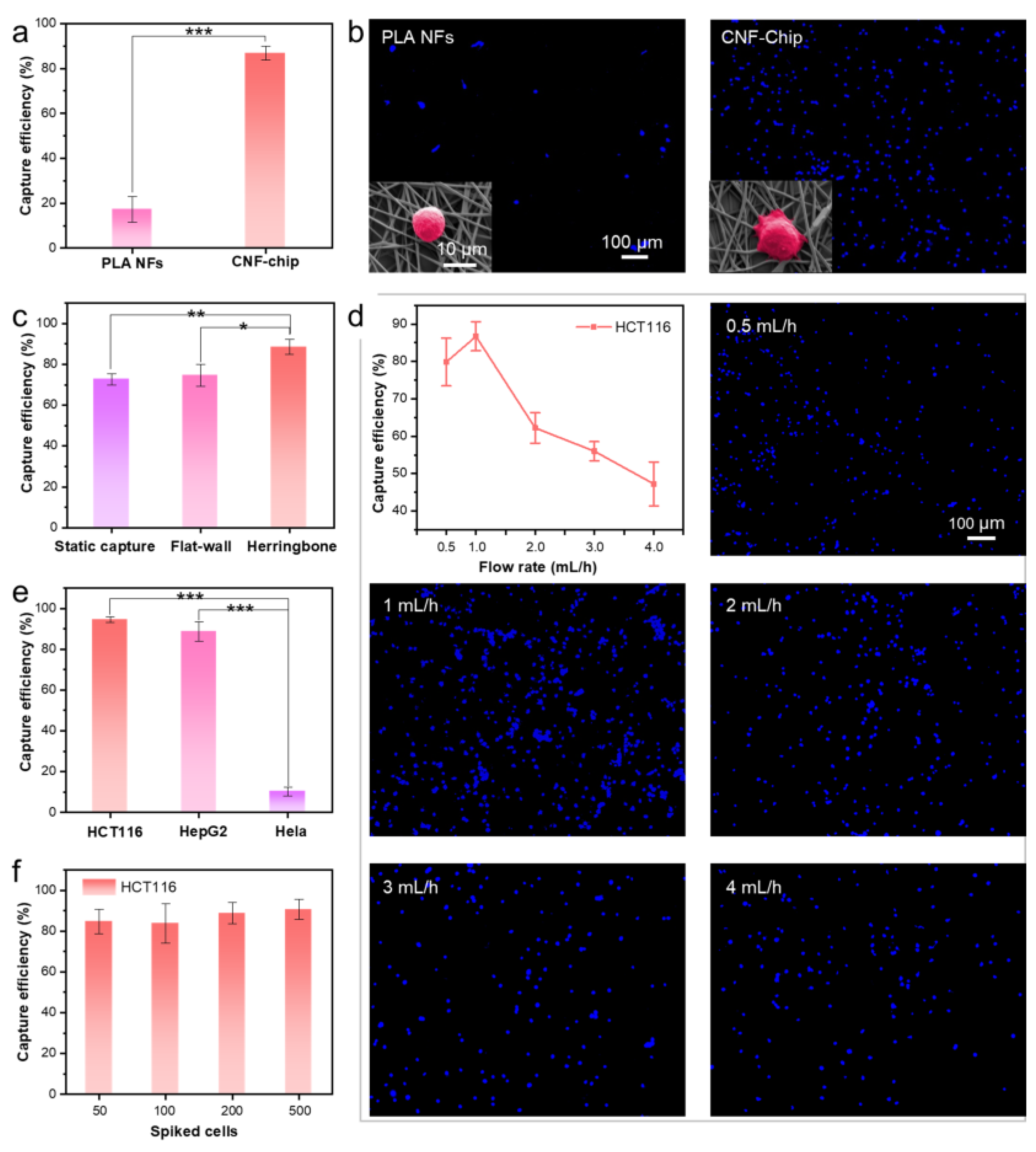 Biosensors 13 00497 g005