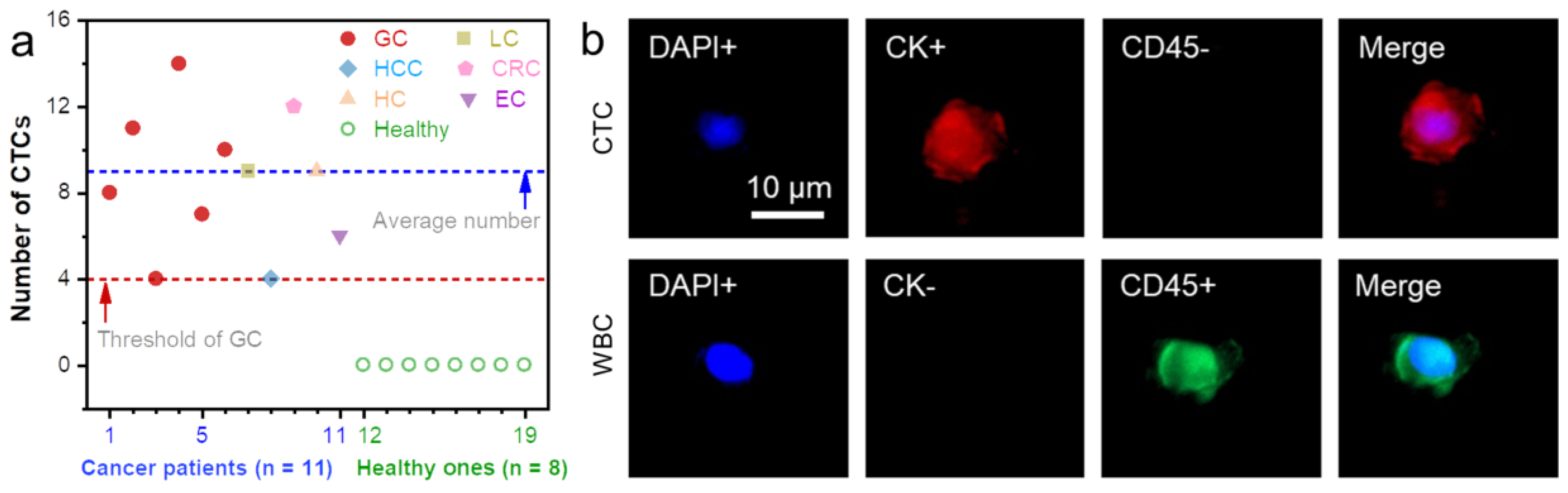 Biosensors 13 00497 g007