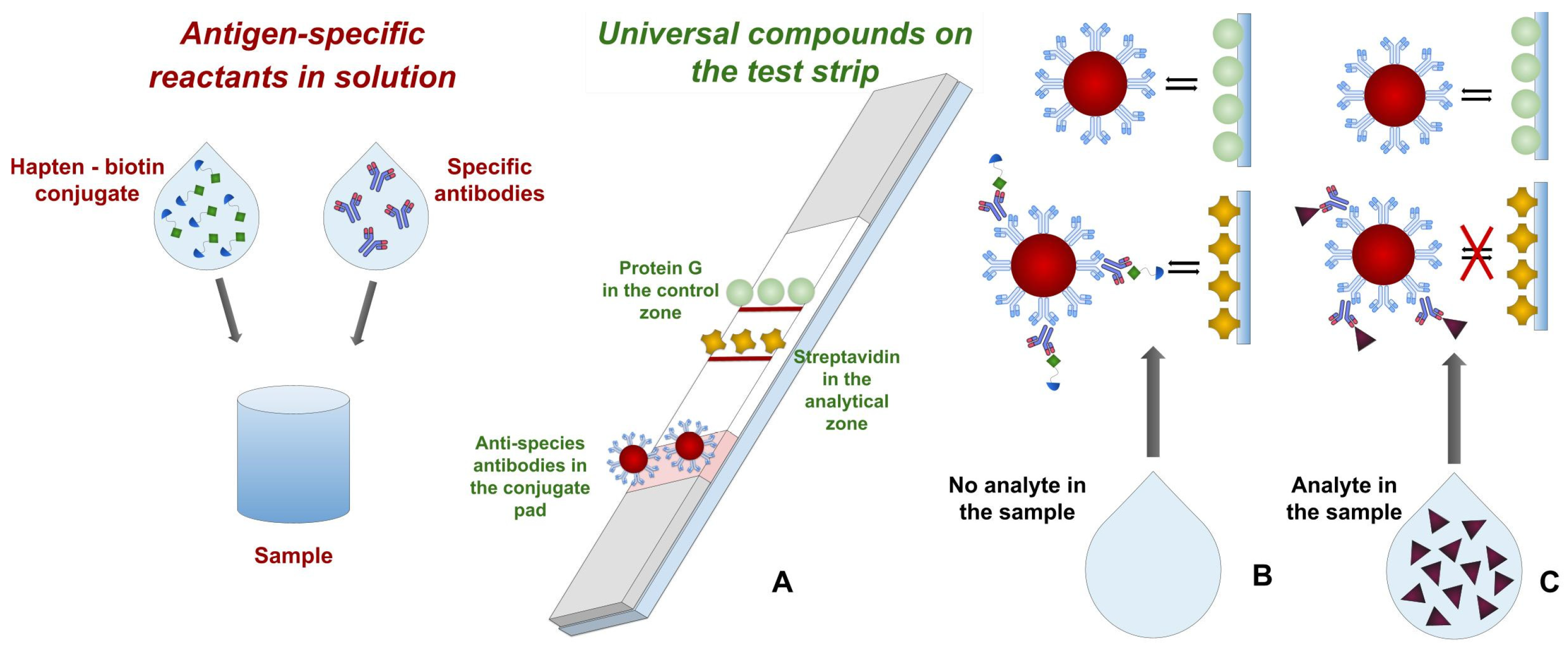 Biosensors Free FullText Modular Set of Reagents in Lateral Flow