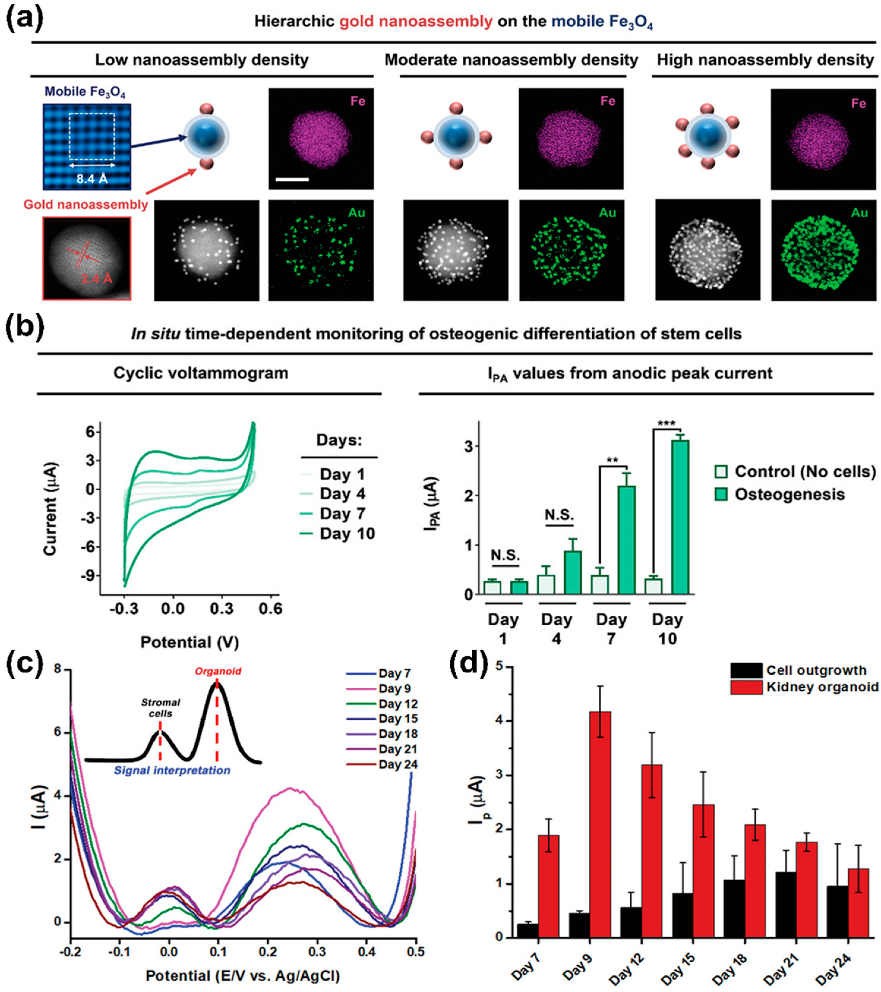 Biosensors 13 00501 g002 Biosensors 13 00501 g002