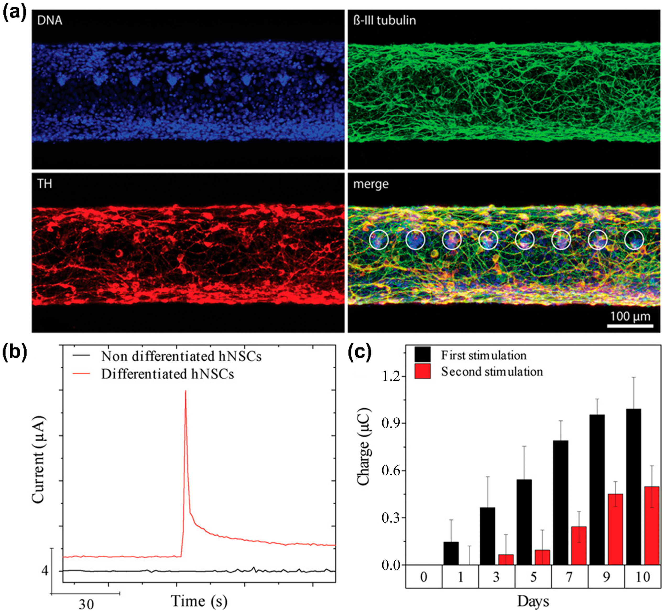 Biosensors 13 00501 g004 Biosensors 13 00501 g004