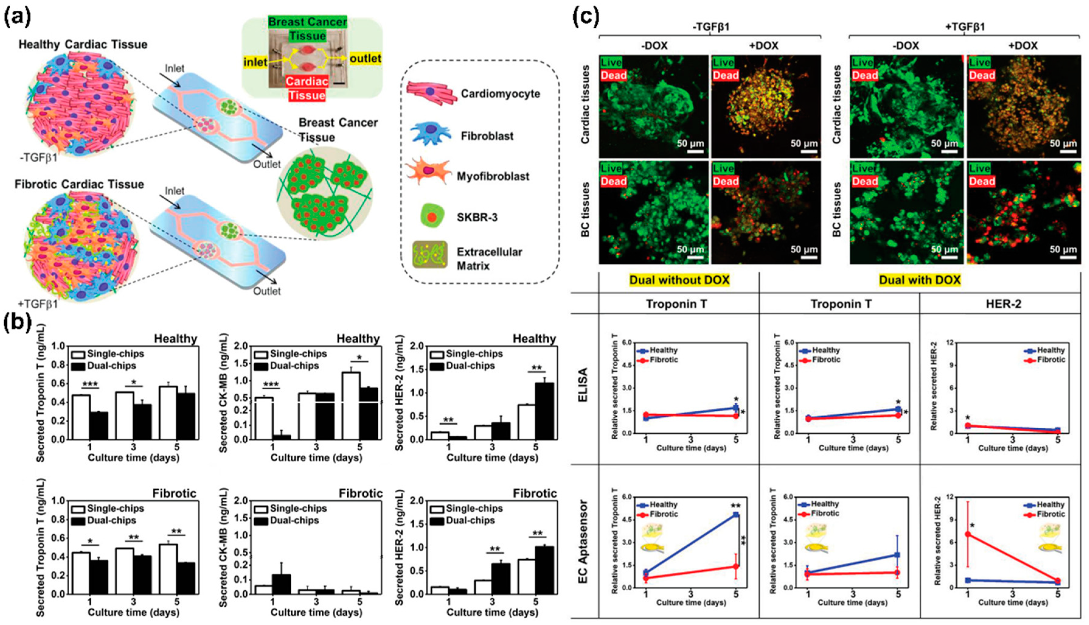 Biosensors 13 00501 g005 Biosensors 13 00501 g005