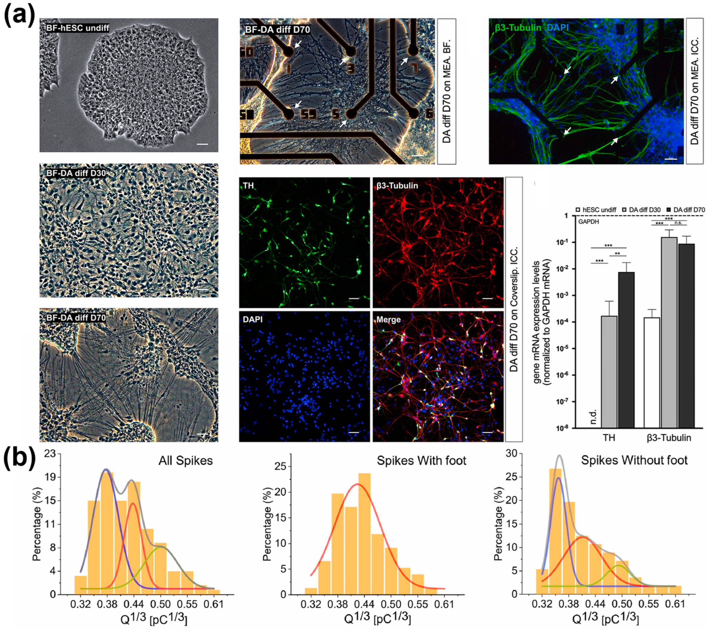Biosensors 13 00501 g006 Biosensors 13 00501 g006