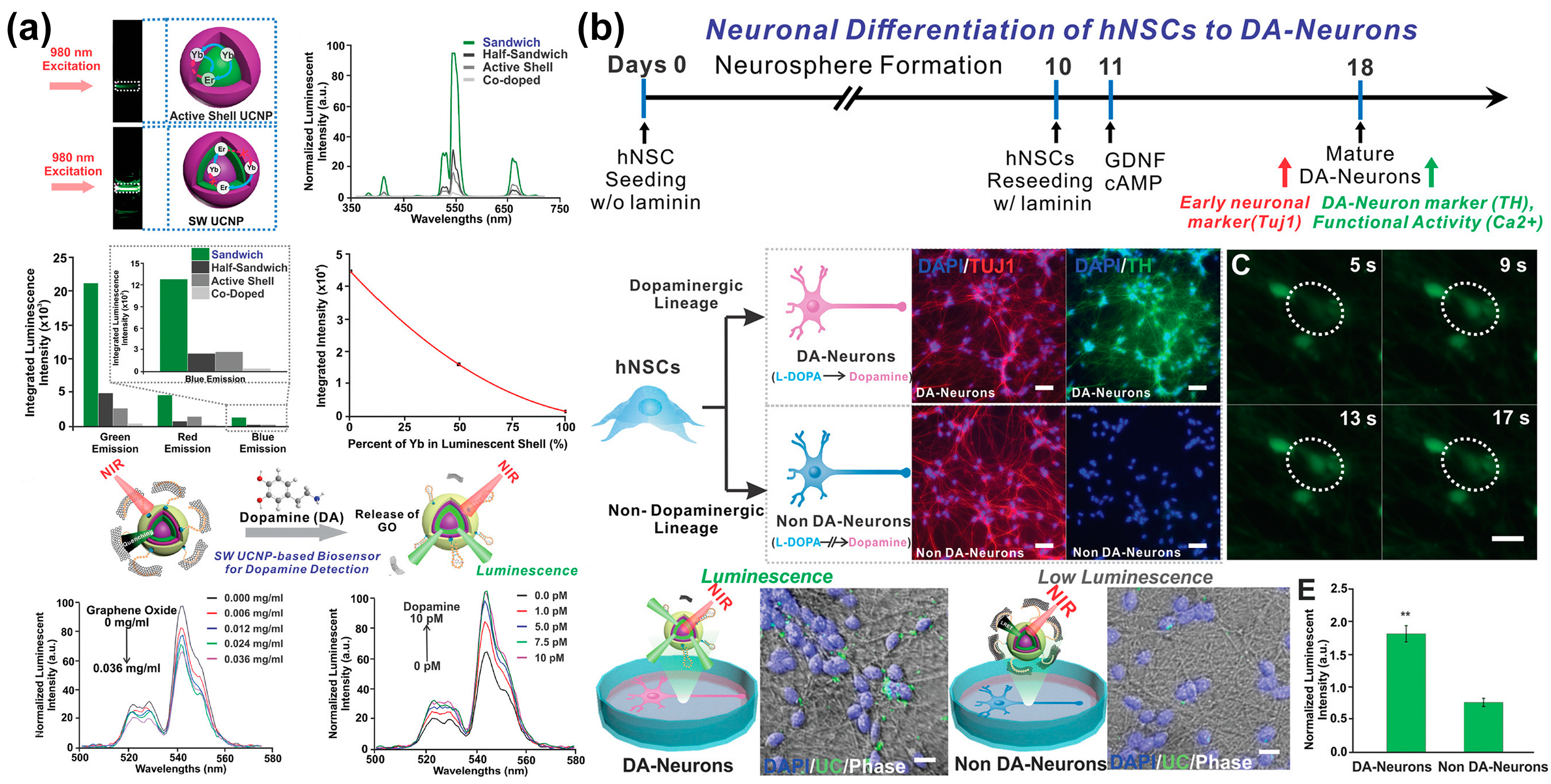 Biosensors 13 00501 g008 Biosensors 13 00501 g008