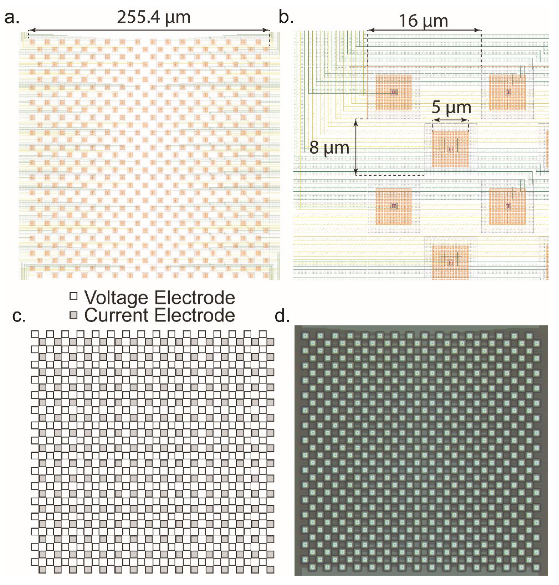 Biosensors 13 00502 g011 Biosensors 13 00502 g011