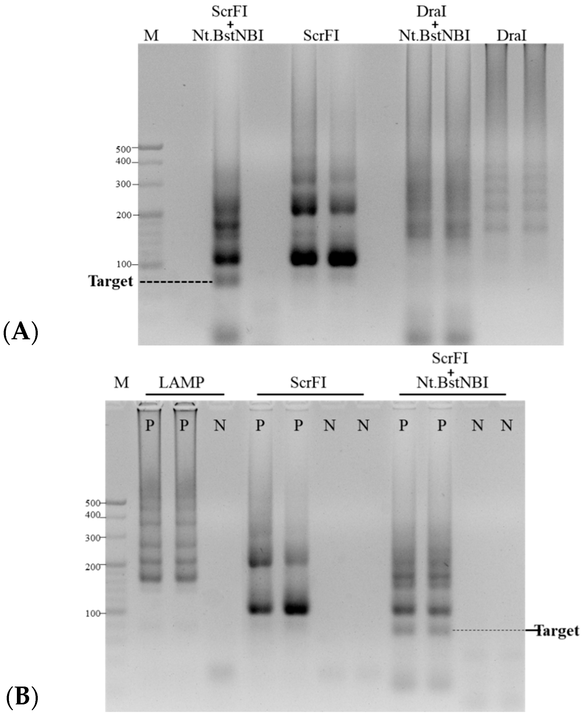 Biosensors 13 00503 g002 Biosensors 13 00503 g002