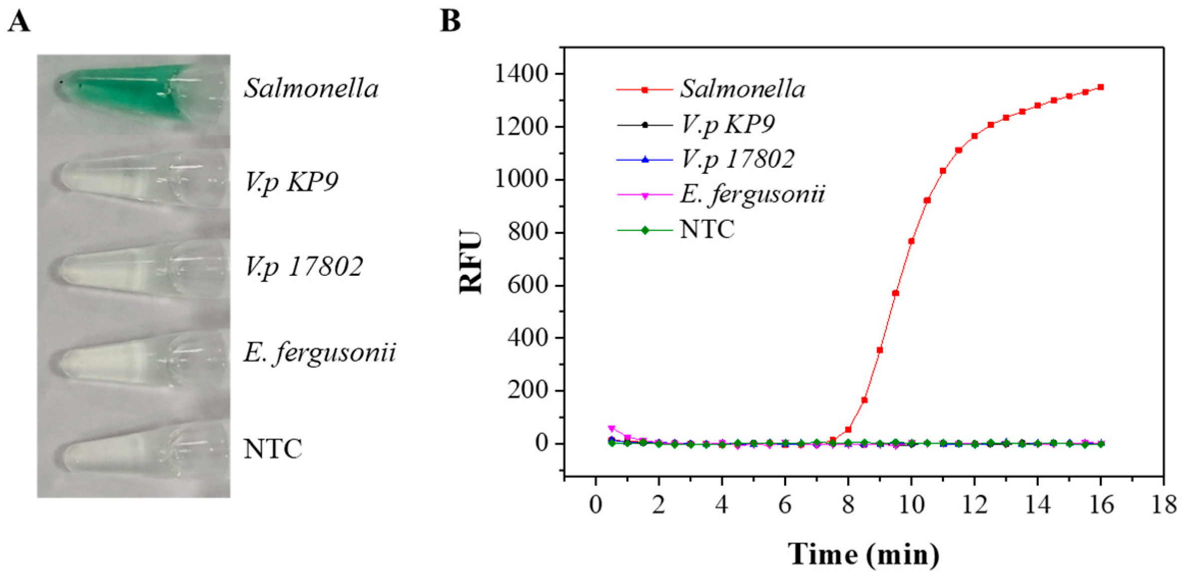 Biosensors 13 00503 g004 Biosensors 13 00503 g004