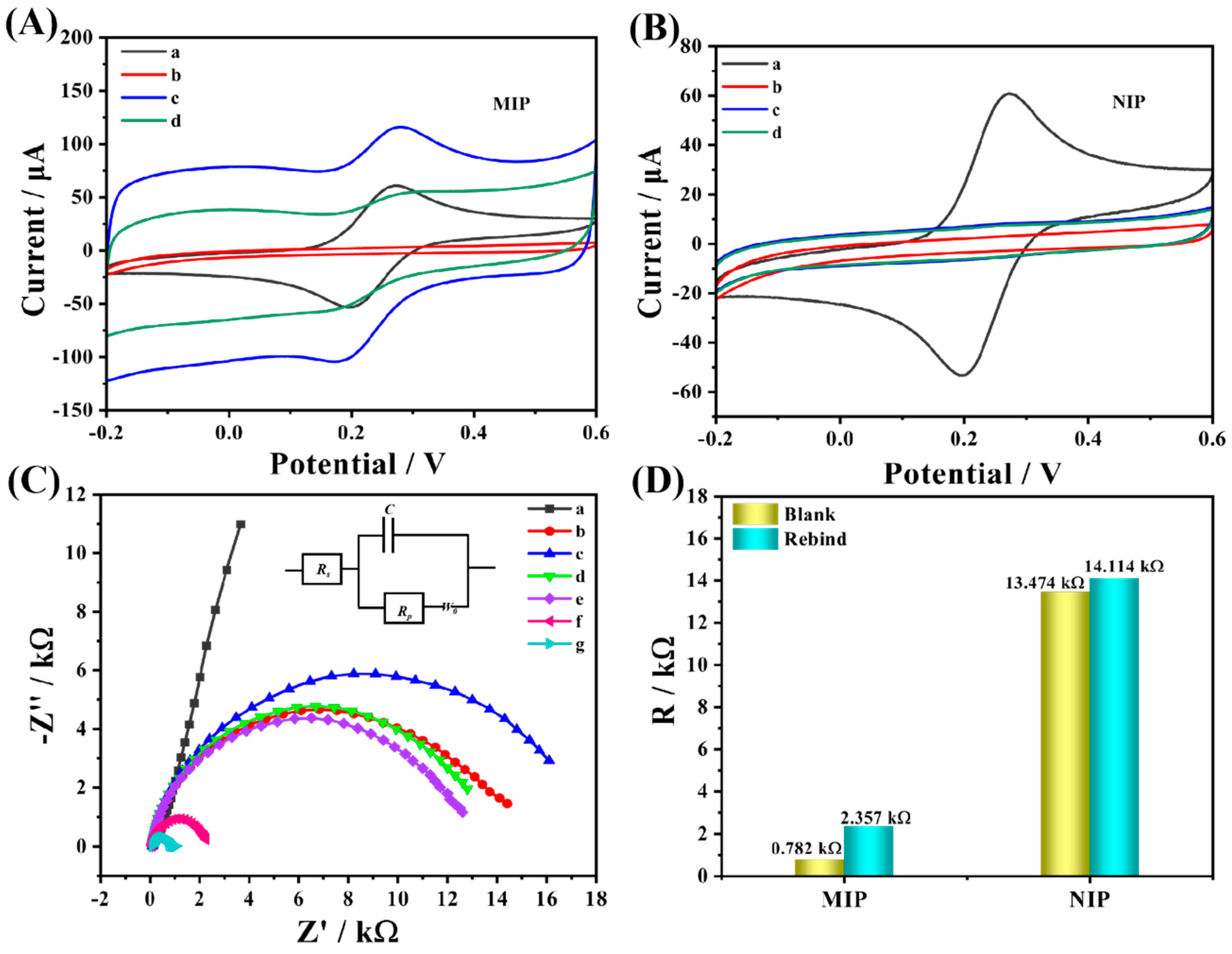 Biosensors 13 00505 g006