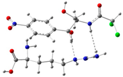 Biosensors 13 00505 i005