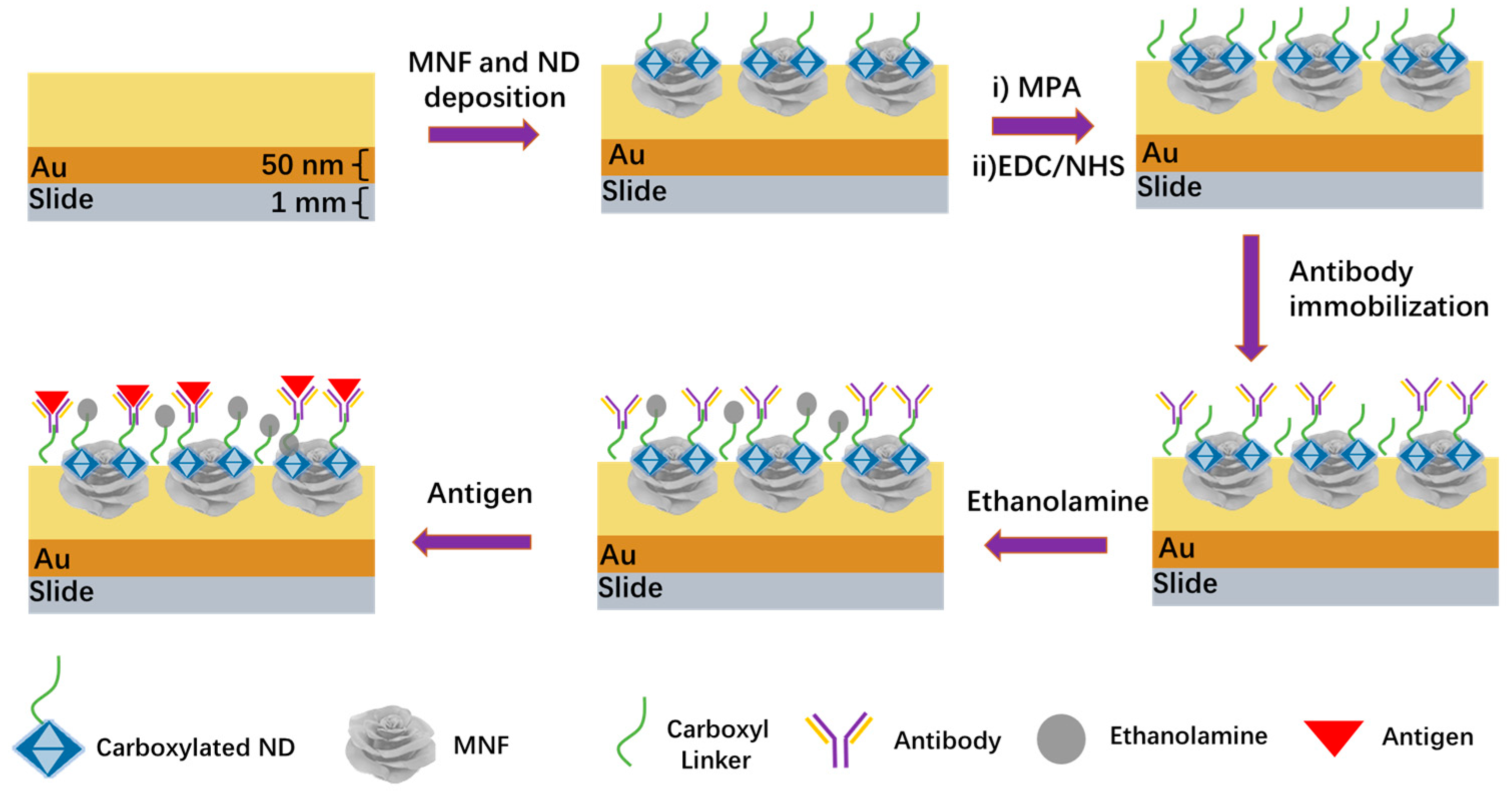 Biosensors 13 00506 g001