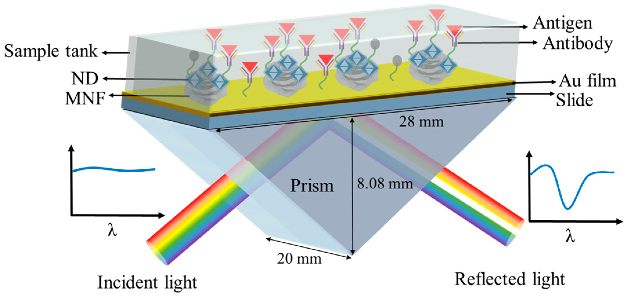 Biosensors 13 00506 g002
