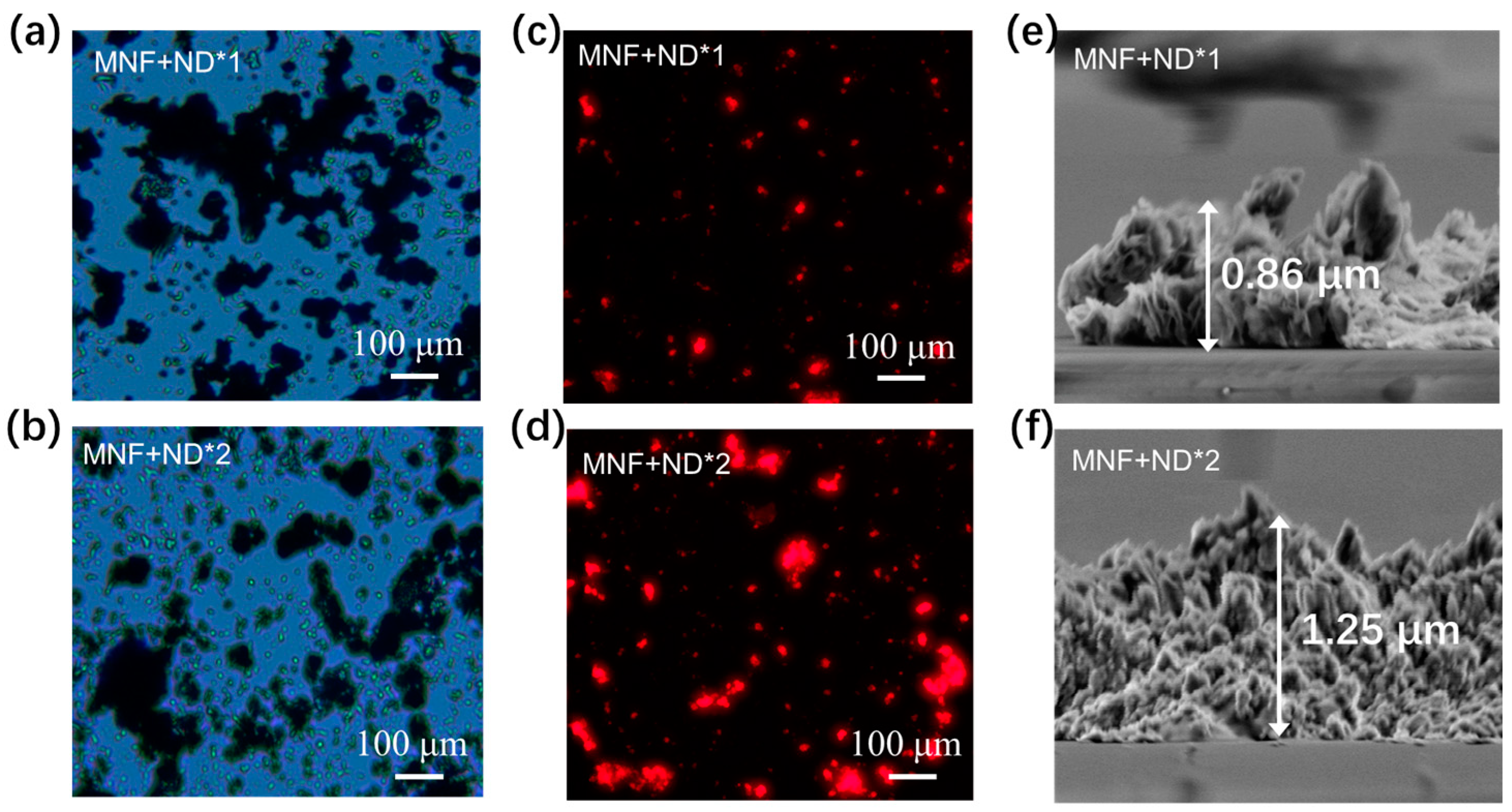 Biosensors 13 00506 g004