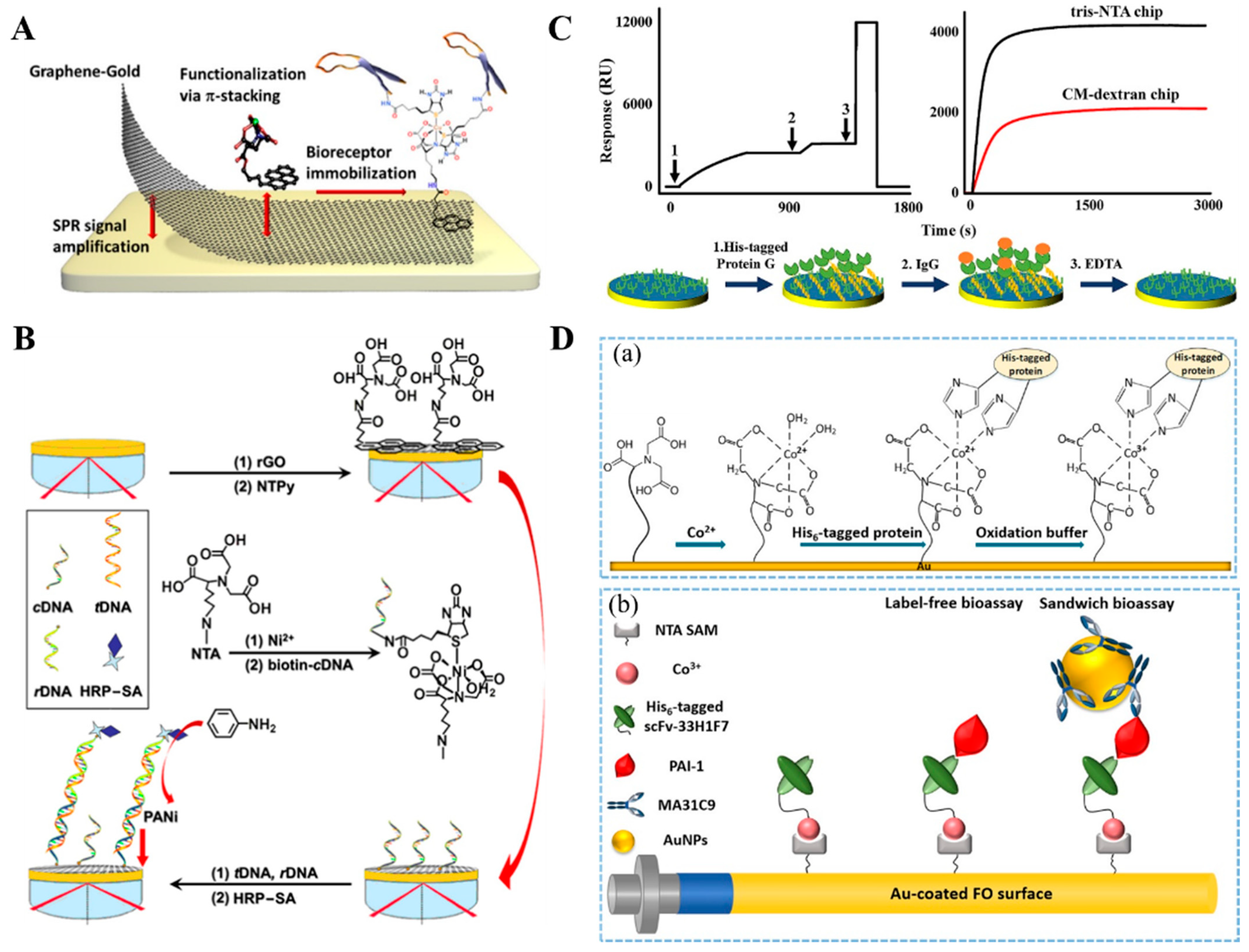 Biosensors 13 00507 g001