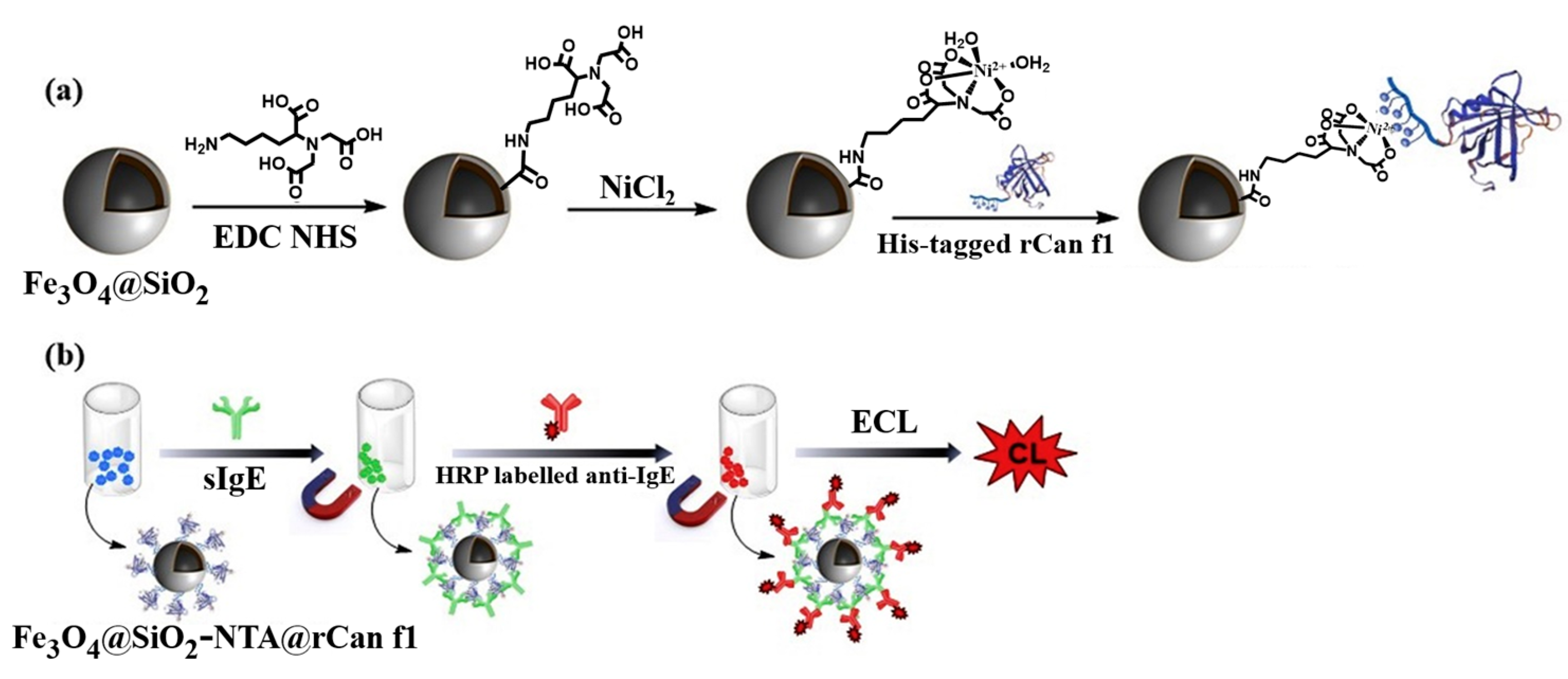 Biosensors 13 00507 g008