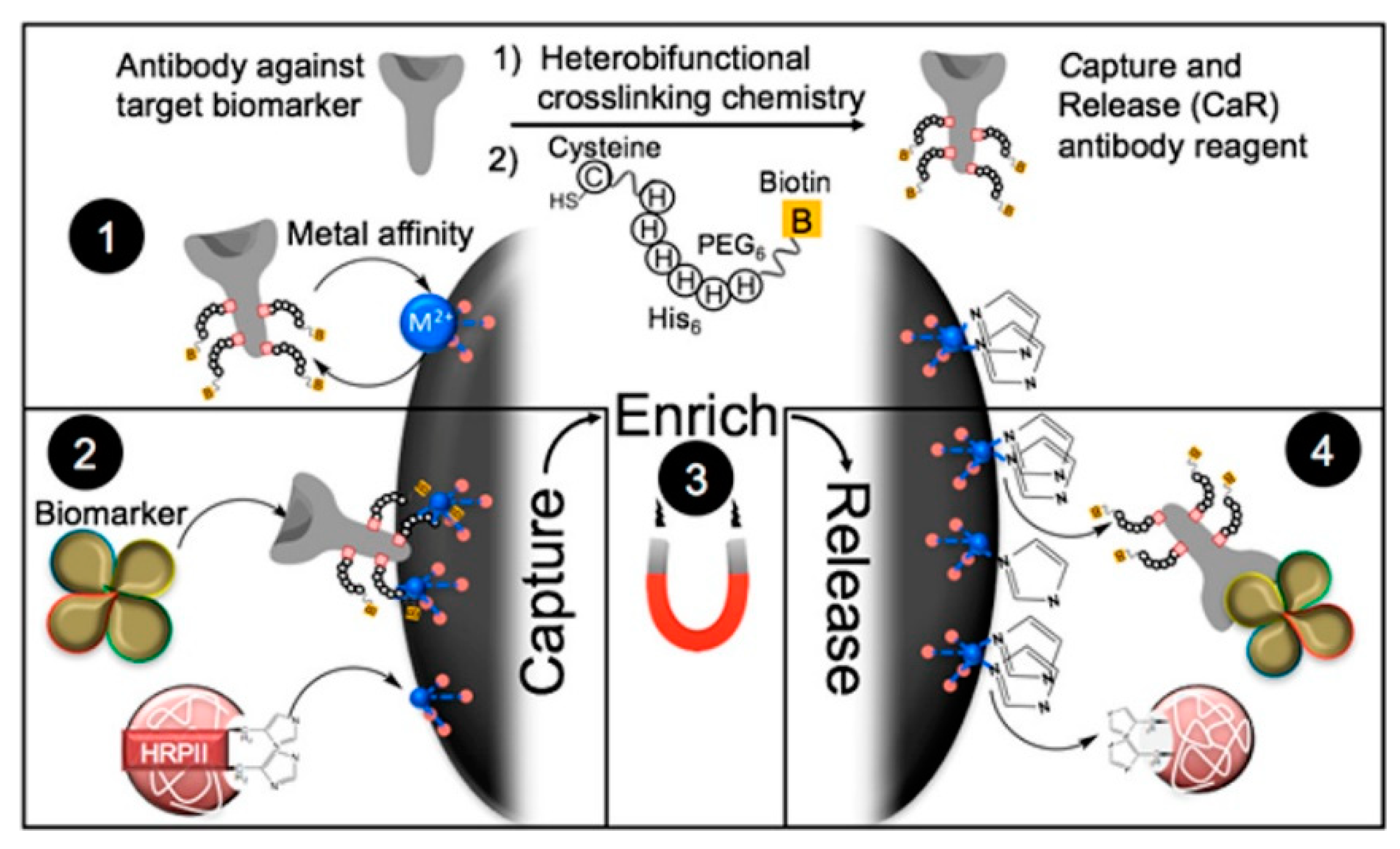 Biosensors 13 00507 g009