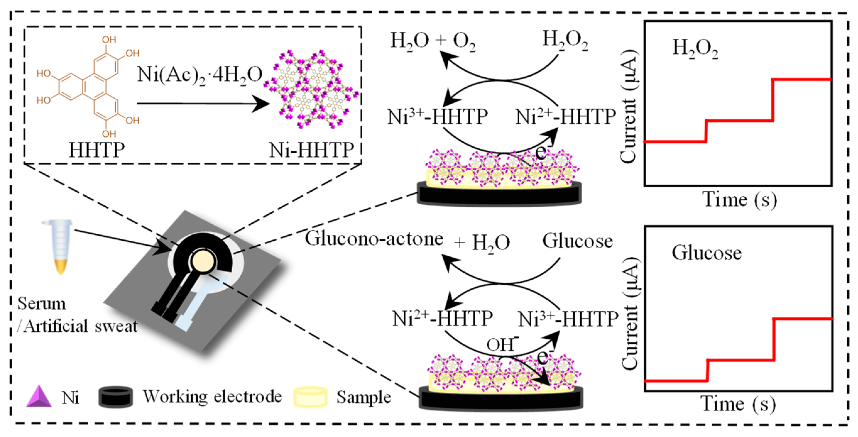 Biosensors 13 00508 sch001 Biosensors 13 00508 sch001