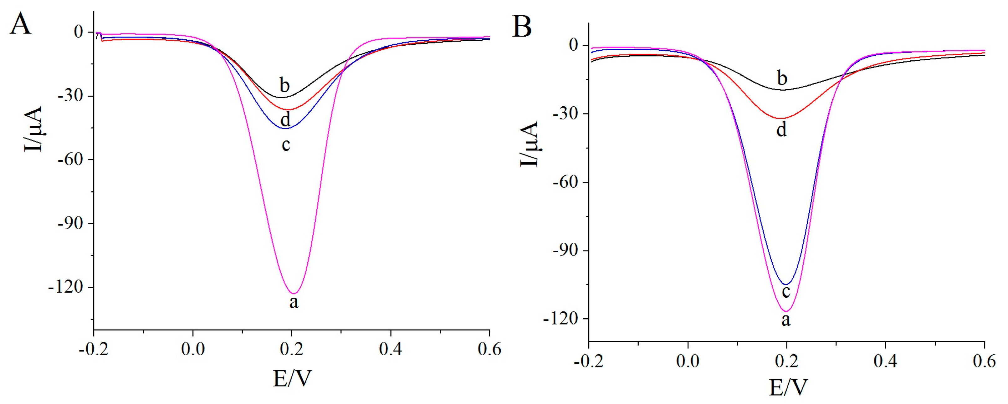 Biosensors 13 00509 g006
