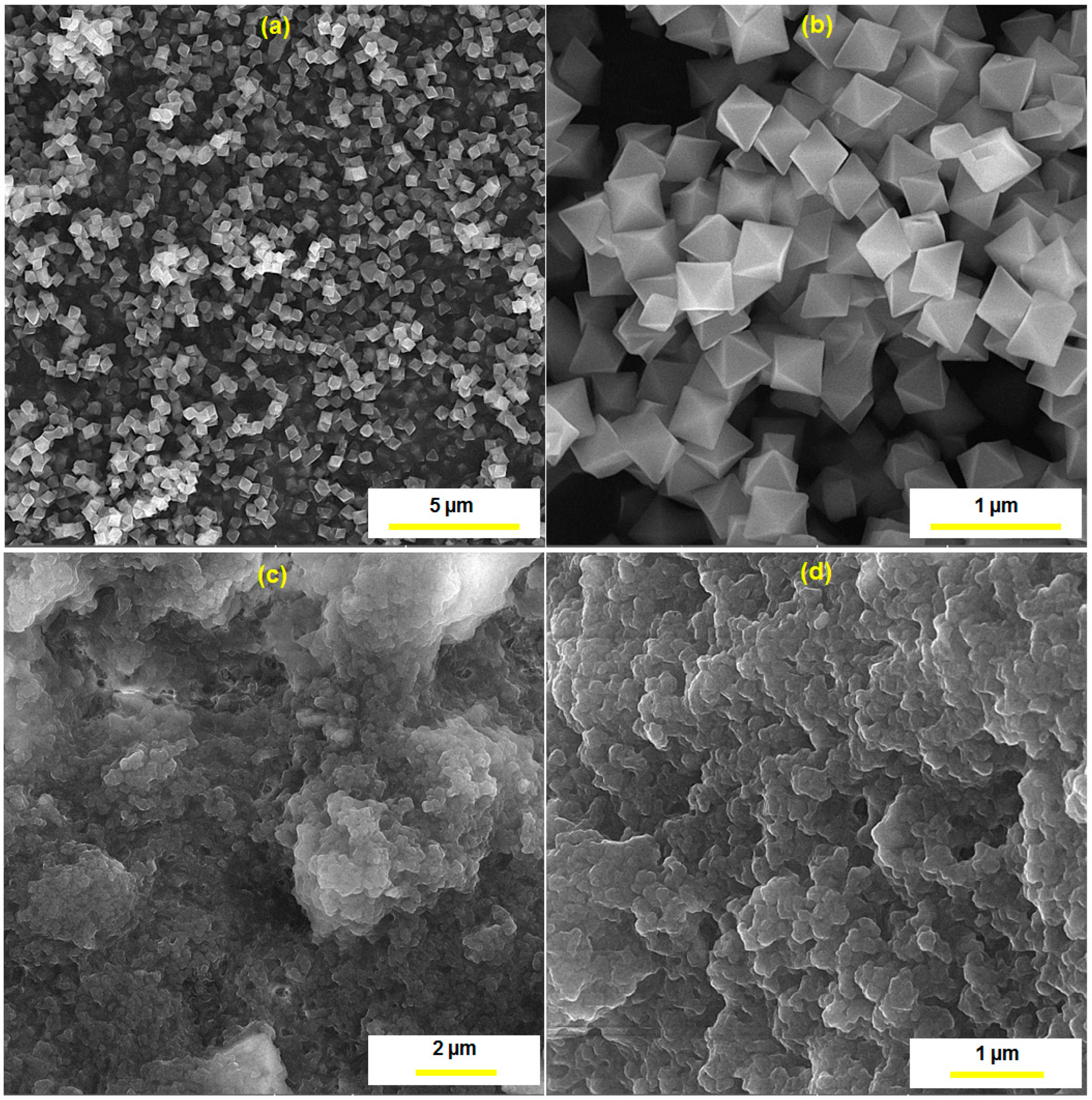 Biosensors 13 00514 g003 Biosensors 13 00514 g003