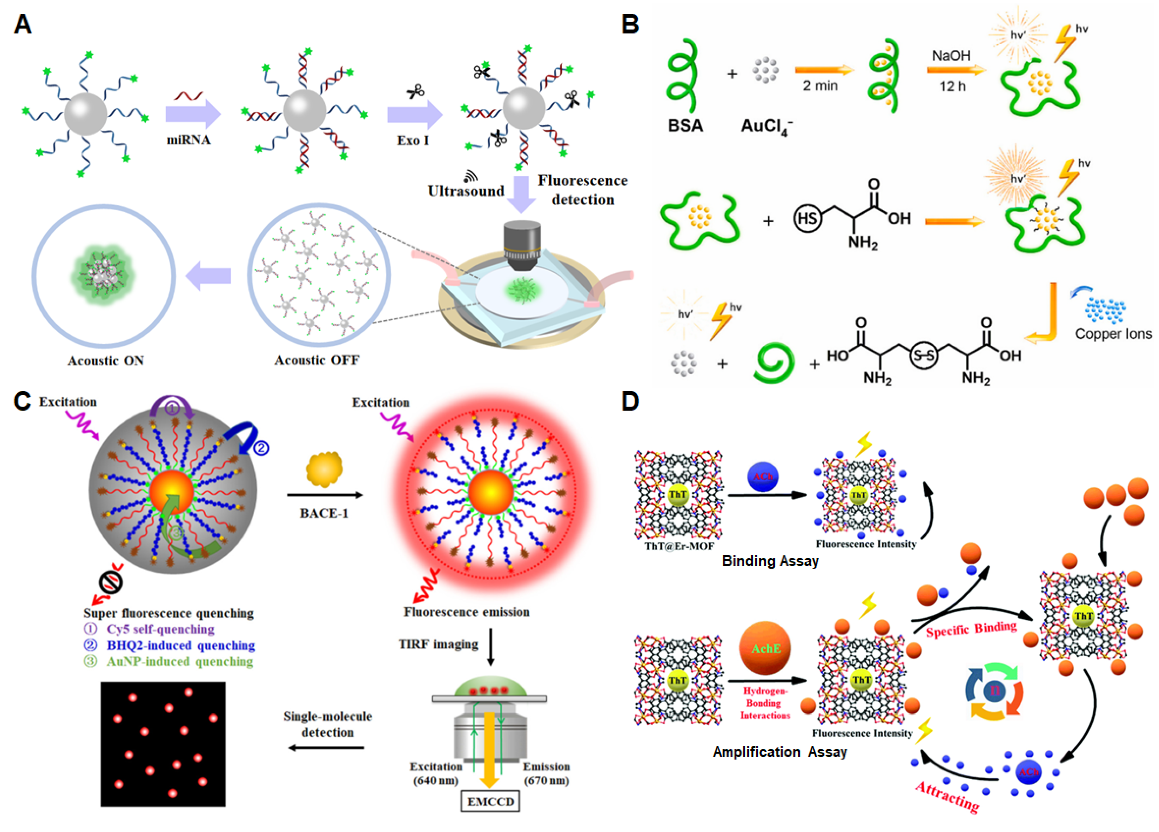 Biosensors Free FullText Fluorescent Sensing Platforms for