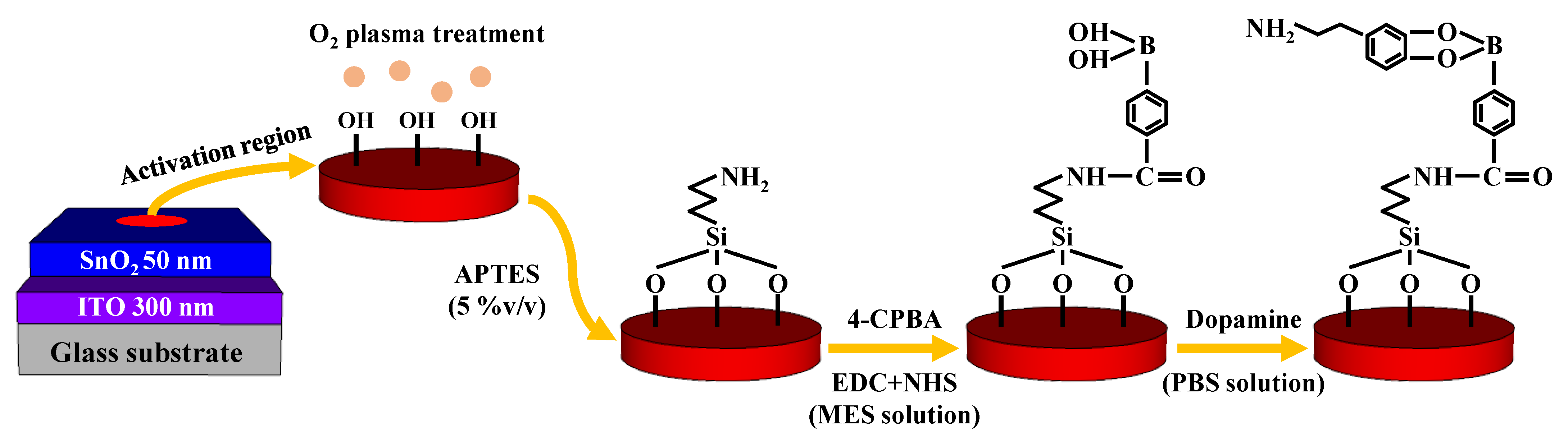 Biosensors 13 00516 g002 Biosensors 13 00516 g002