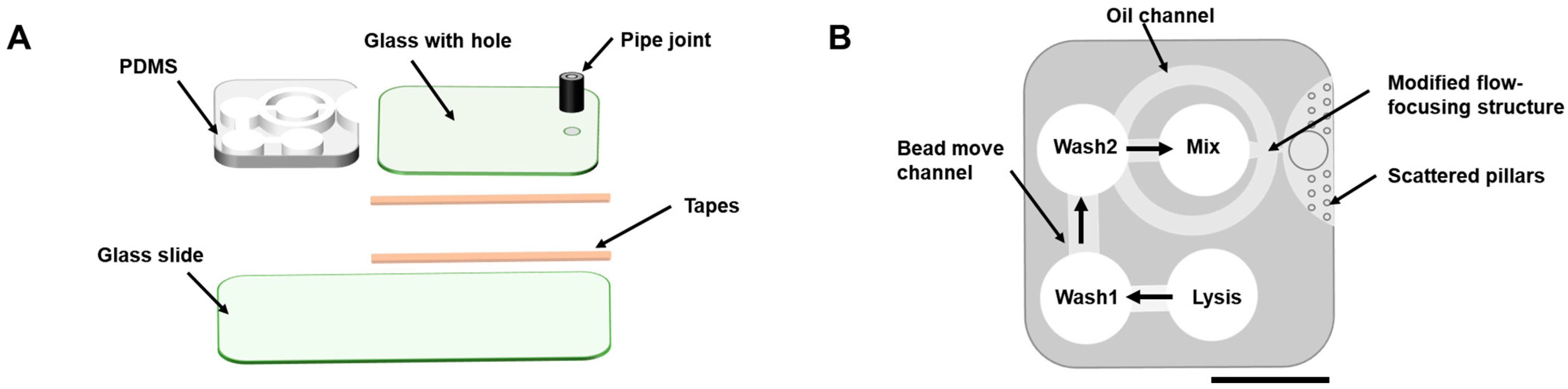 Biosensors 13 00517 g001 Biosensors 13 00517 g001