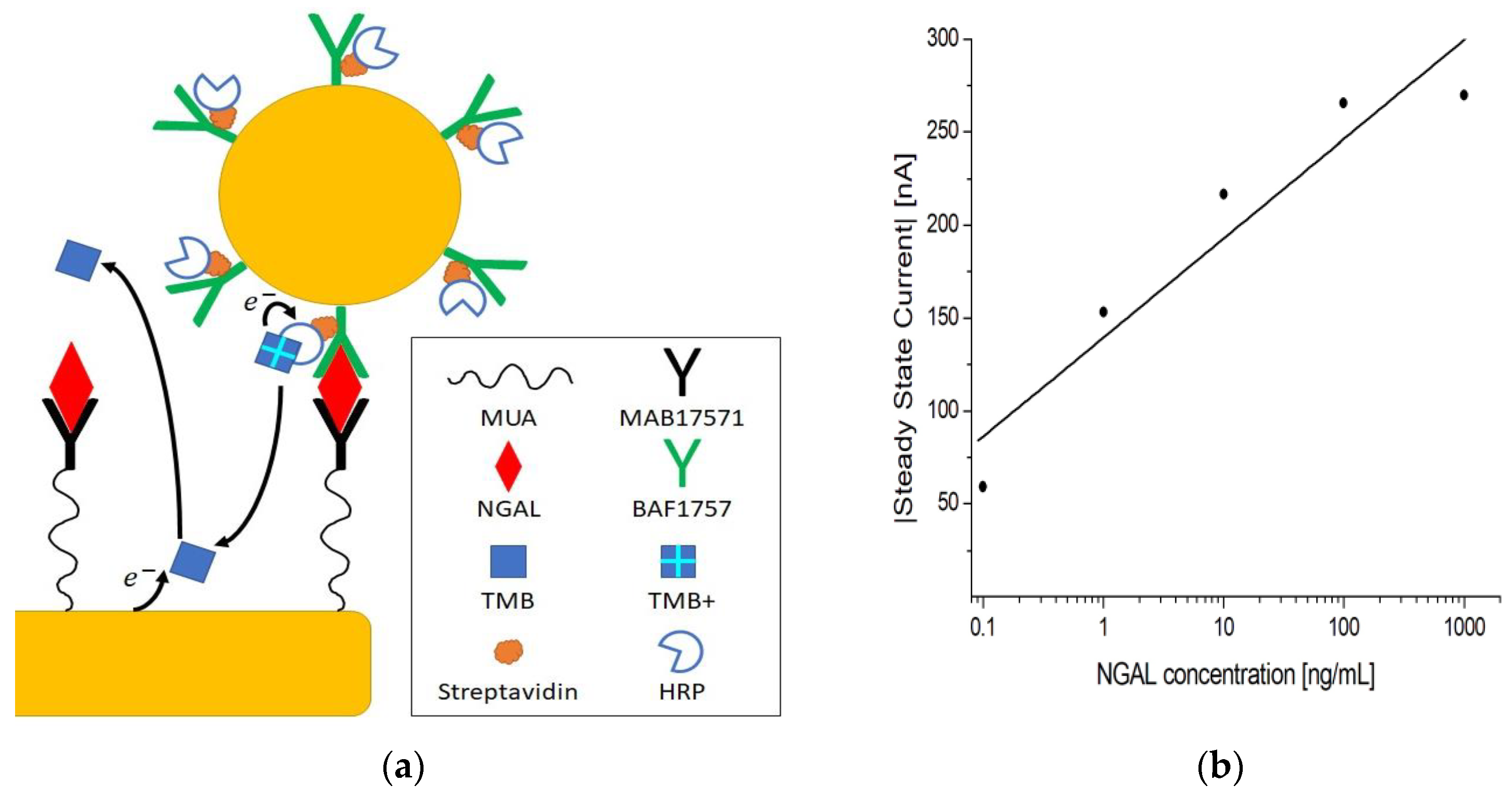 Biosensors 13 00519 g006