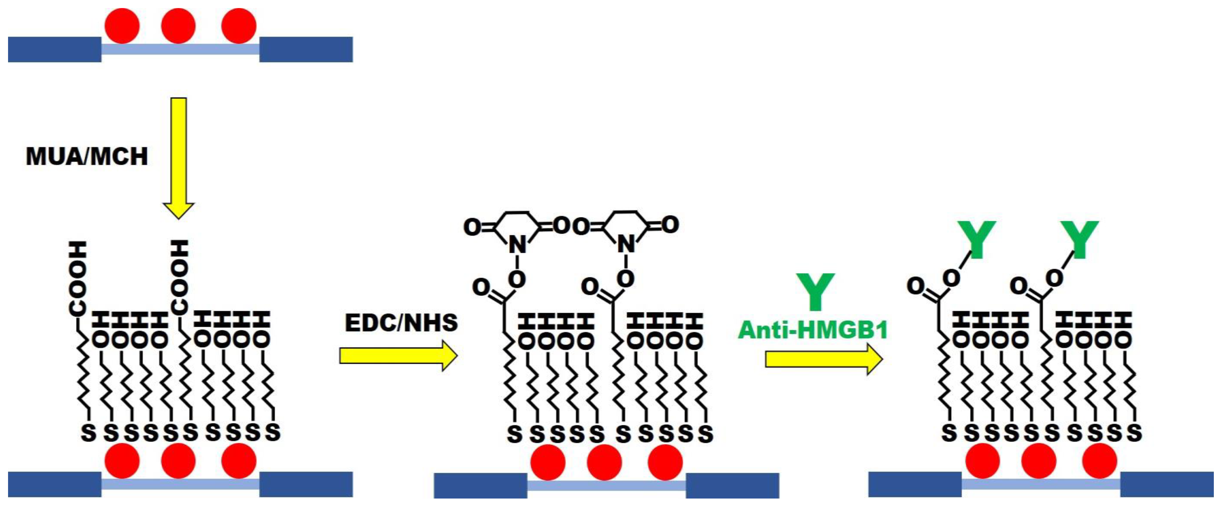 Biosensors 13 00522 g003 Biosensors 13 00522 g003