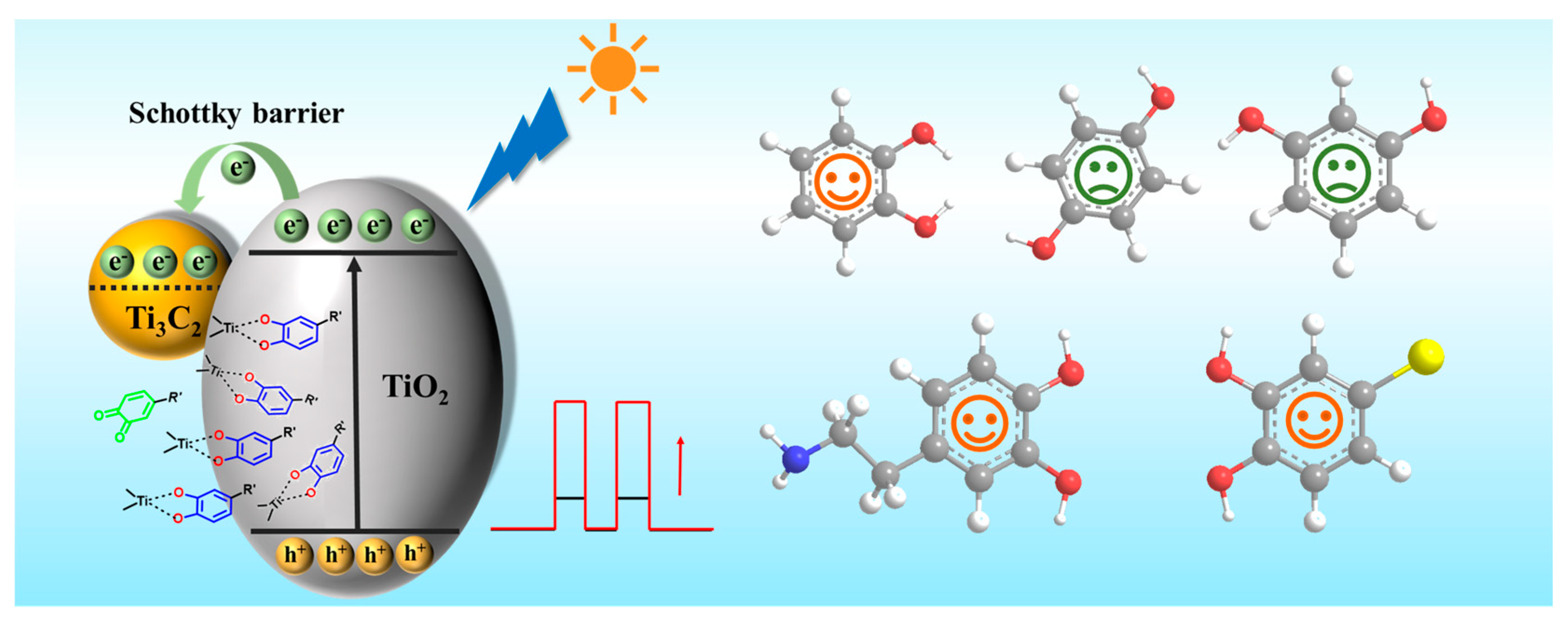 Biosensors 13 00526 sch001 Biosensors 13 00526 sch001