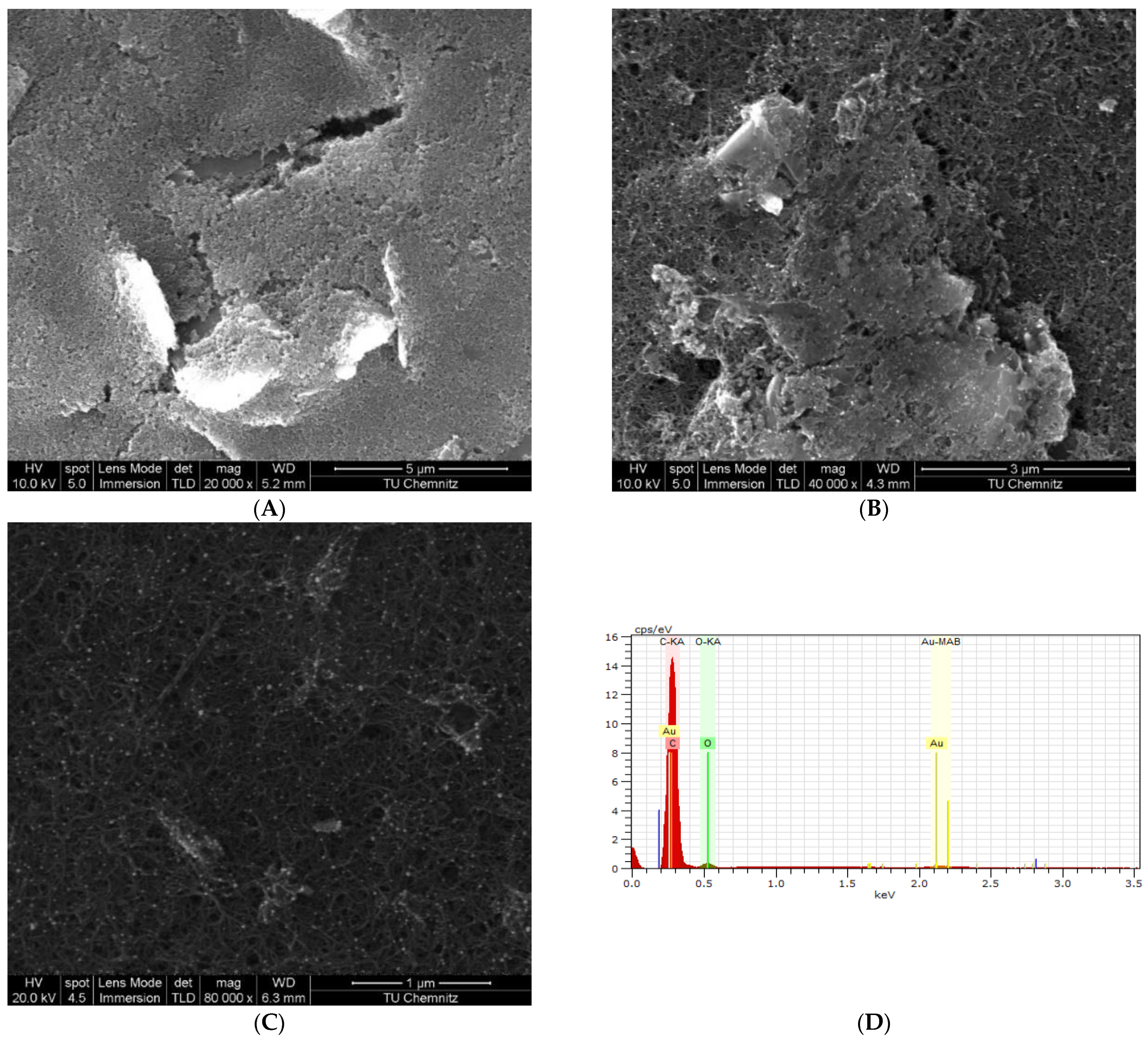 Biosensors 13 00527 g003