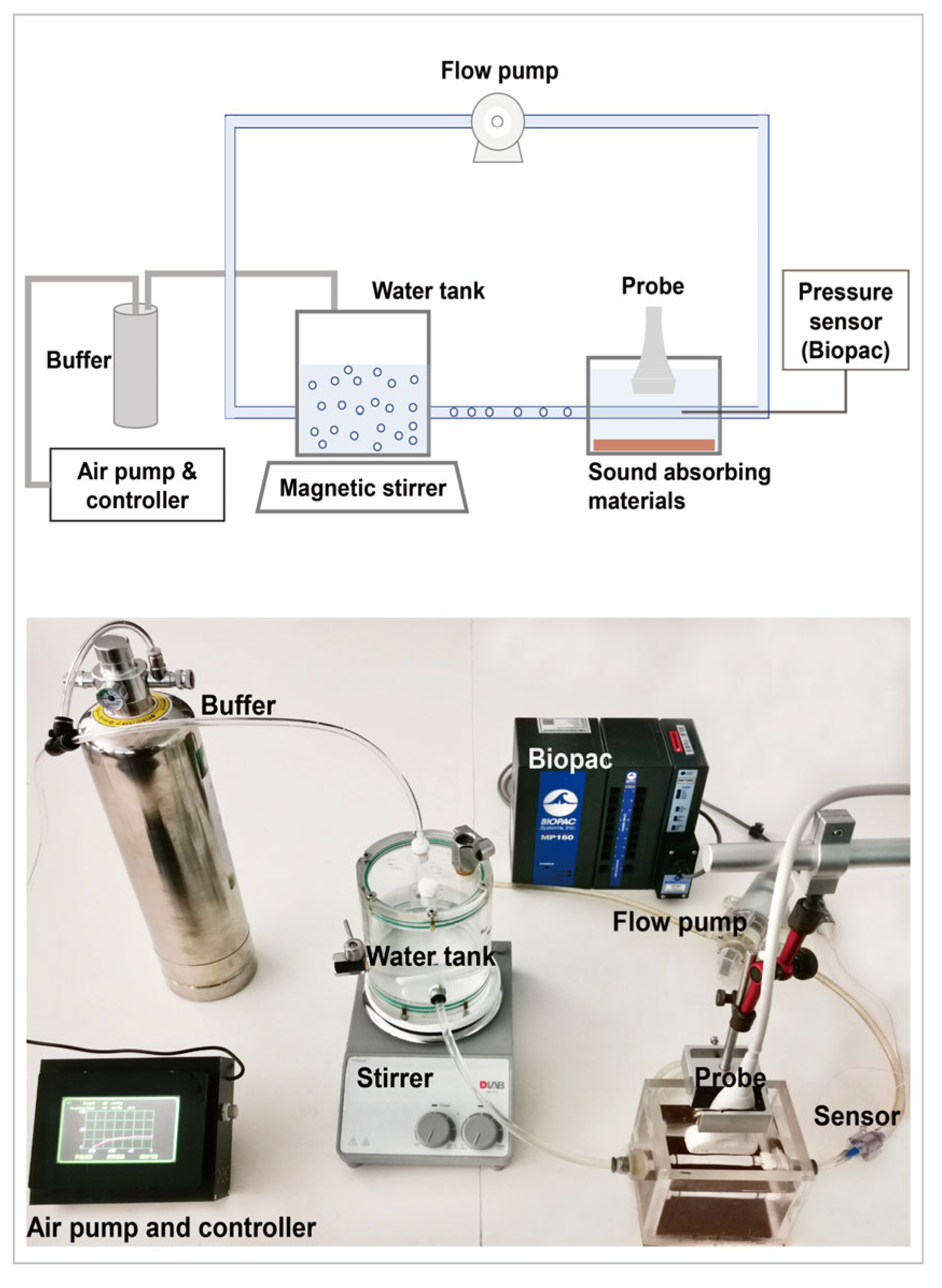 Biosensors 13 00528 g002 Biosensors 13 00528 g002