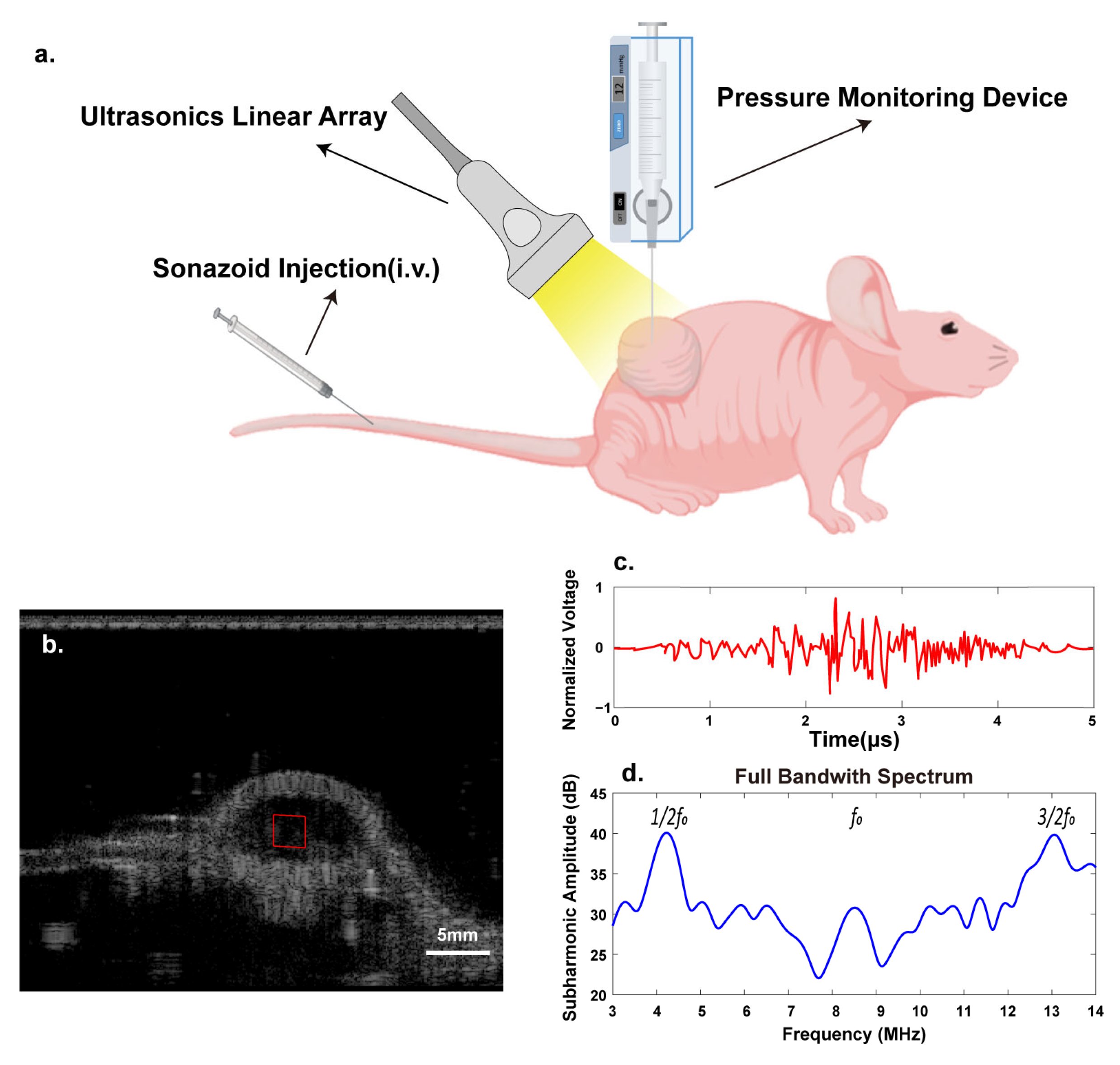 Biosensors 13 00528 g003 Biosensors 13 00528 g003