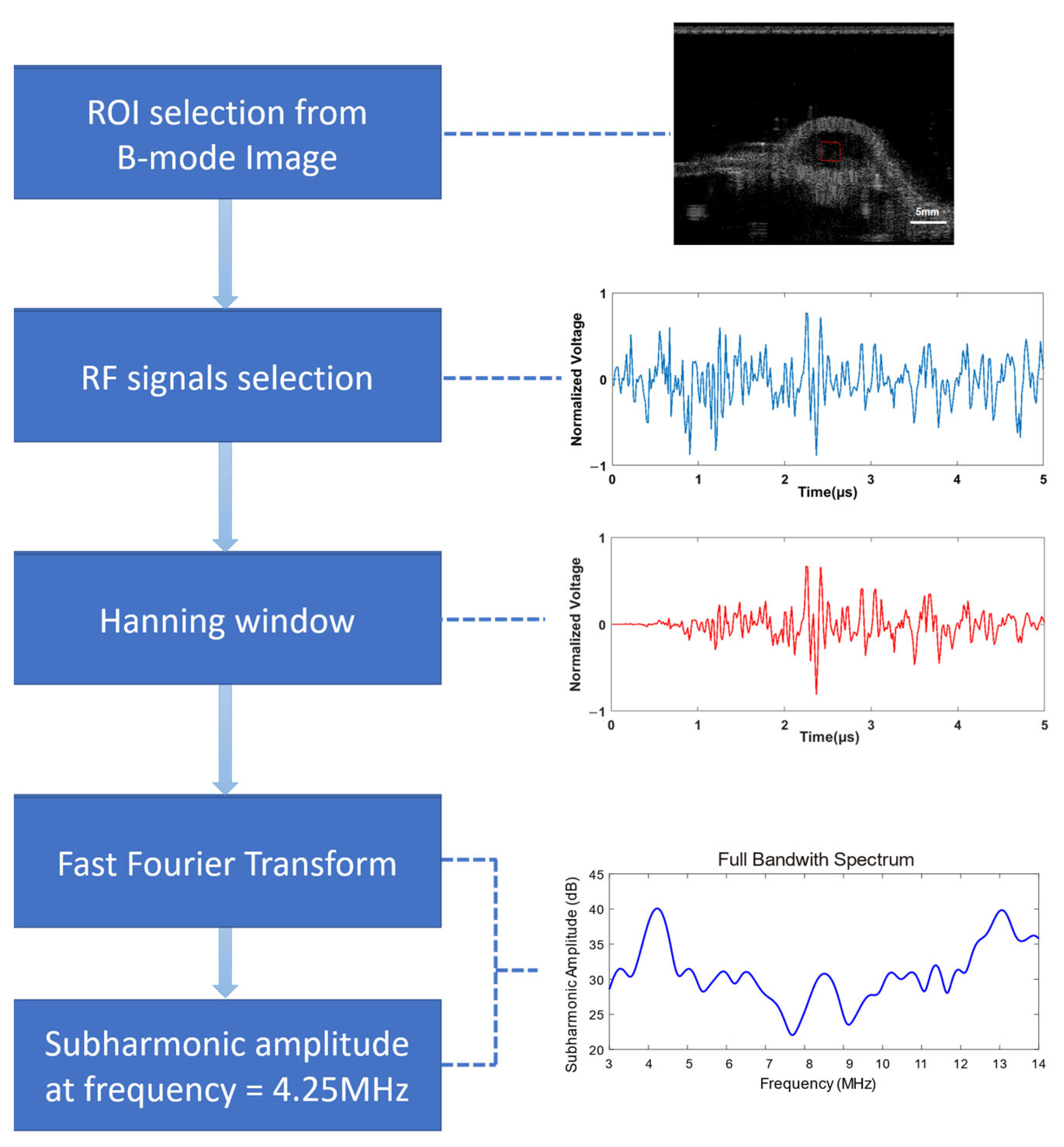 Biosensors 13 00528 g004 Biosensors 13 00528 g004
