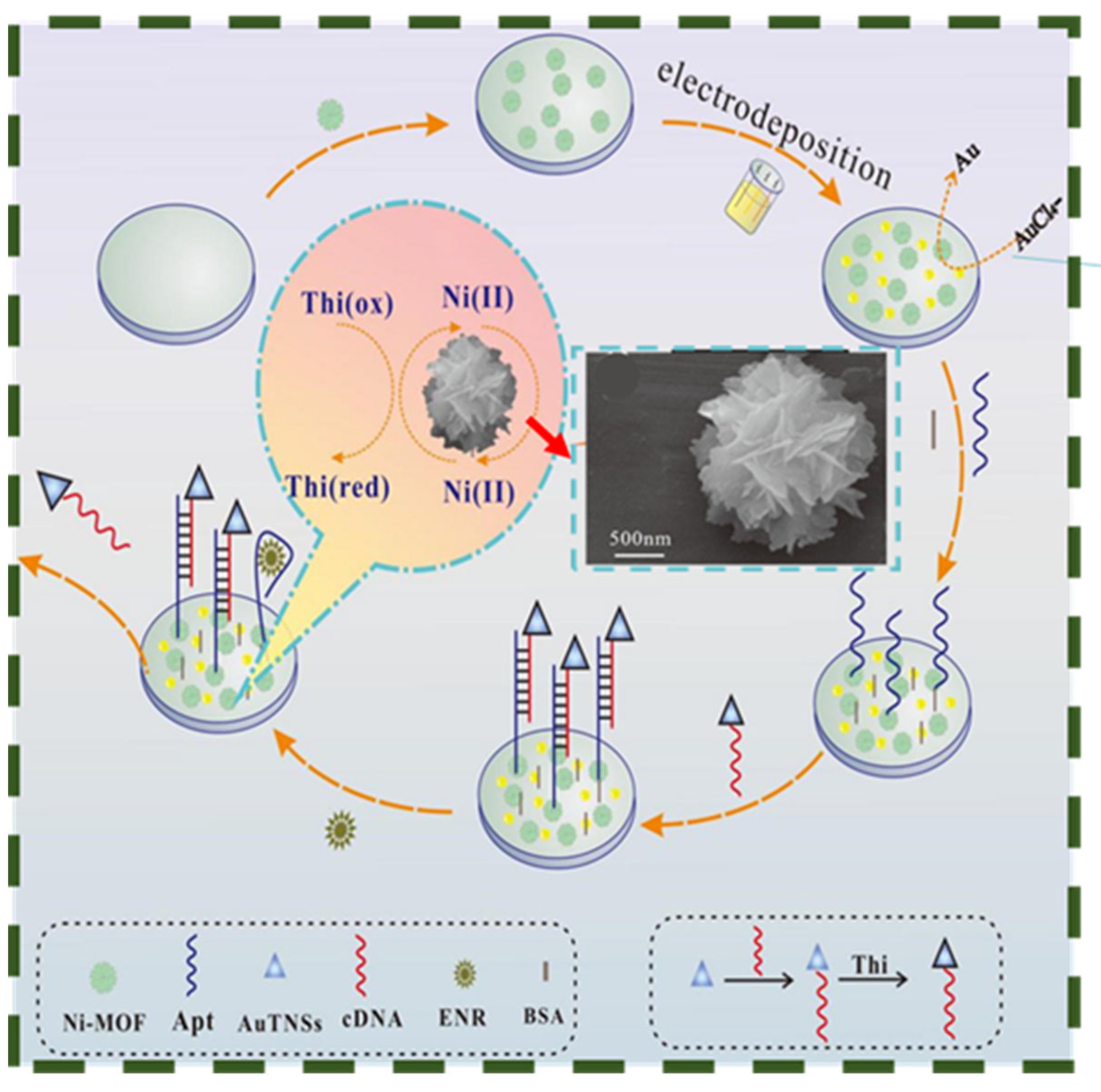 Biosensors 13 00529 g004 Biosensors 13 00529 g004