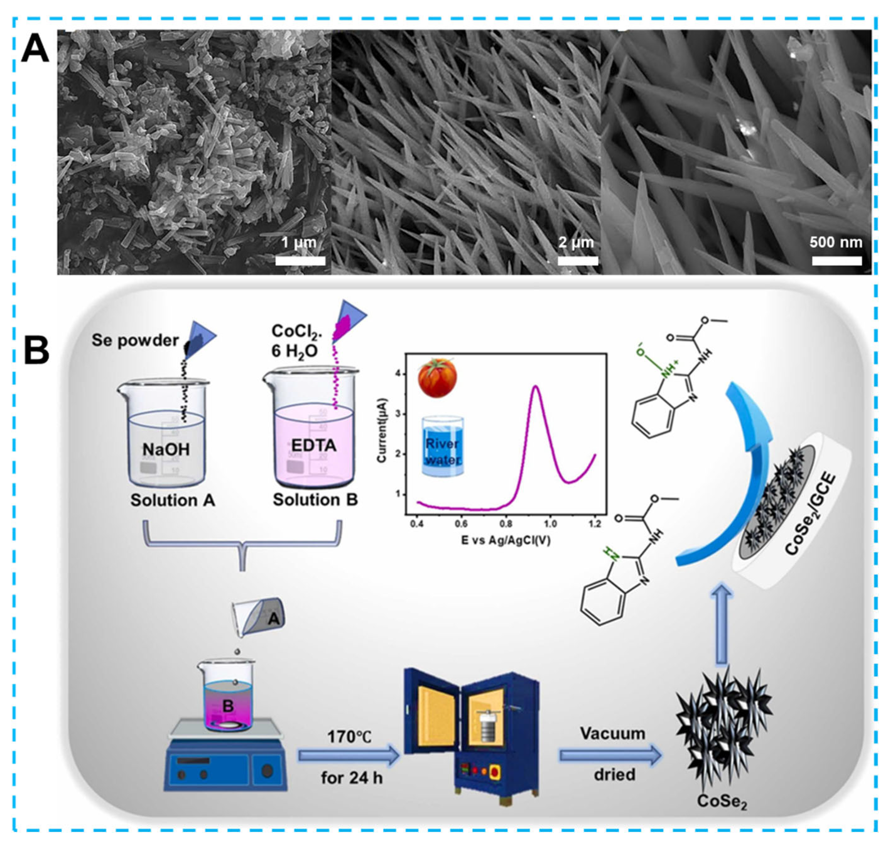 Biosensors 13 00529 g009 Biosensors 13 00529 g009