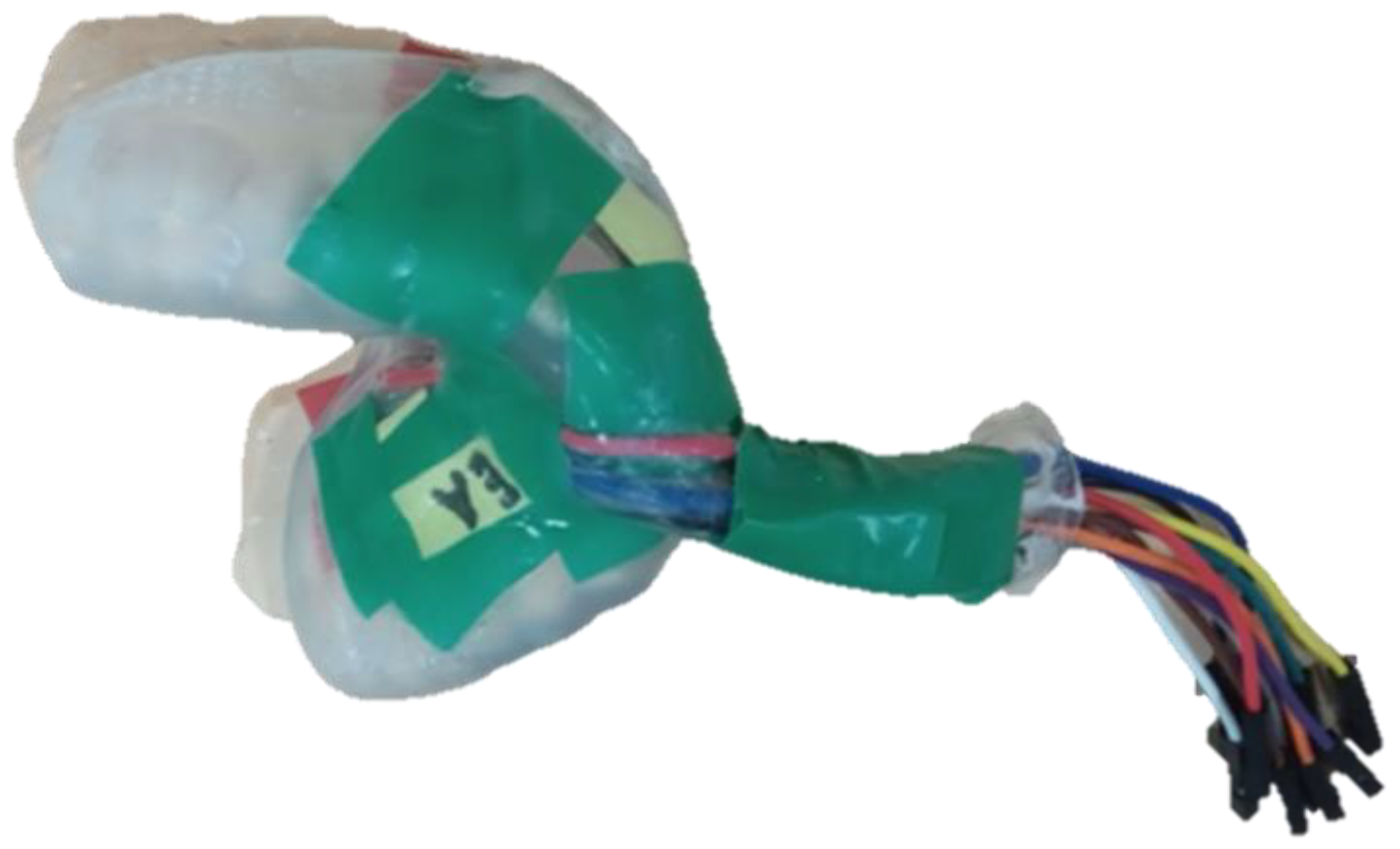 Biosensors 13 00533 g002 Biosensors 13 00533 g002