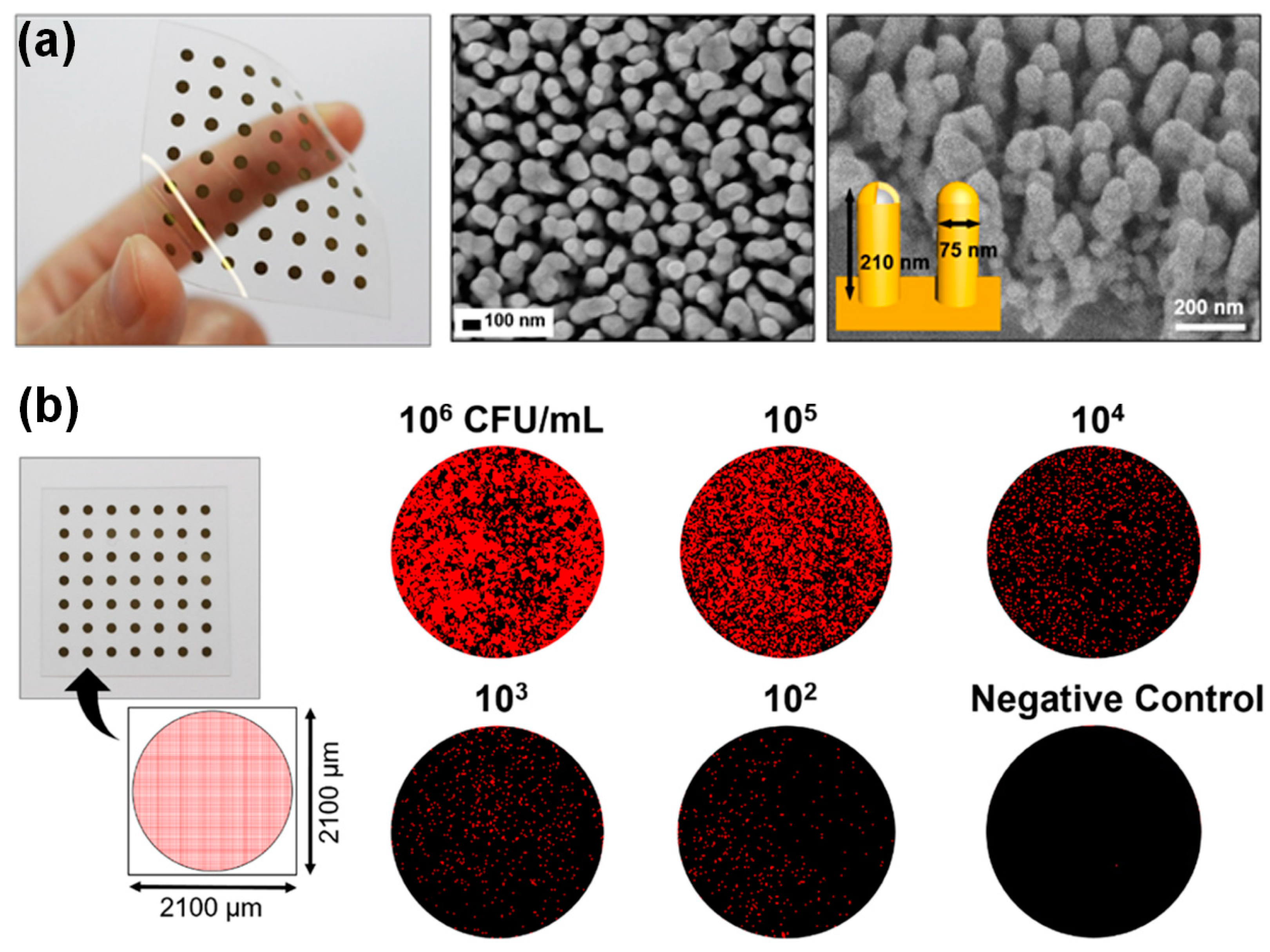 Biosensors 13 00534 g007