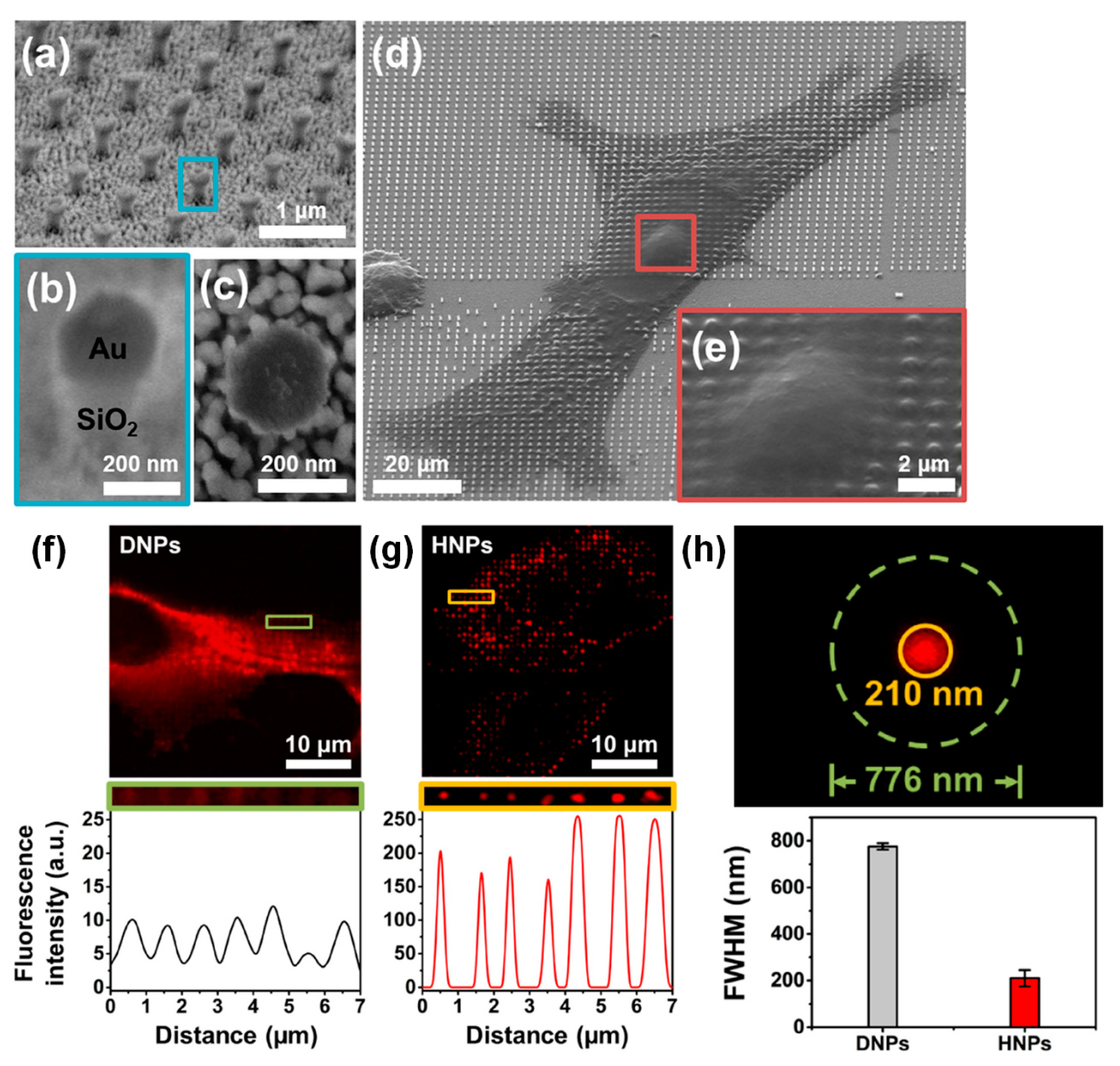 Biosensors 13 00534 g009