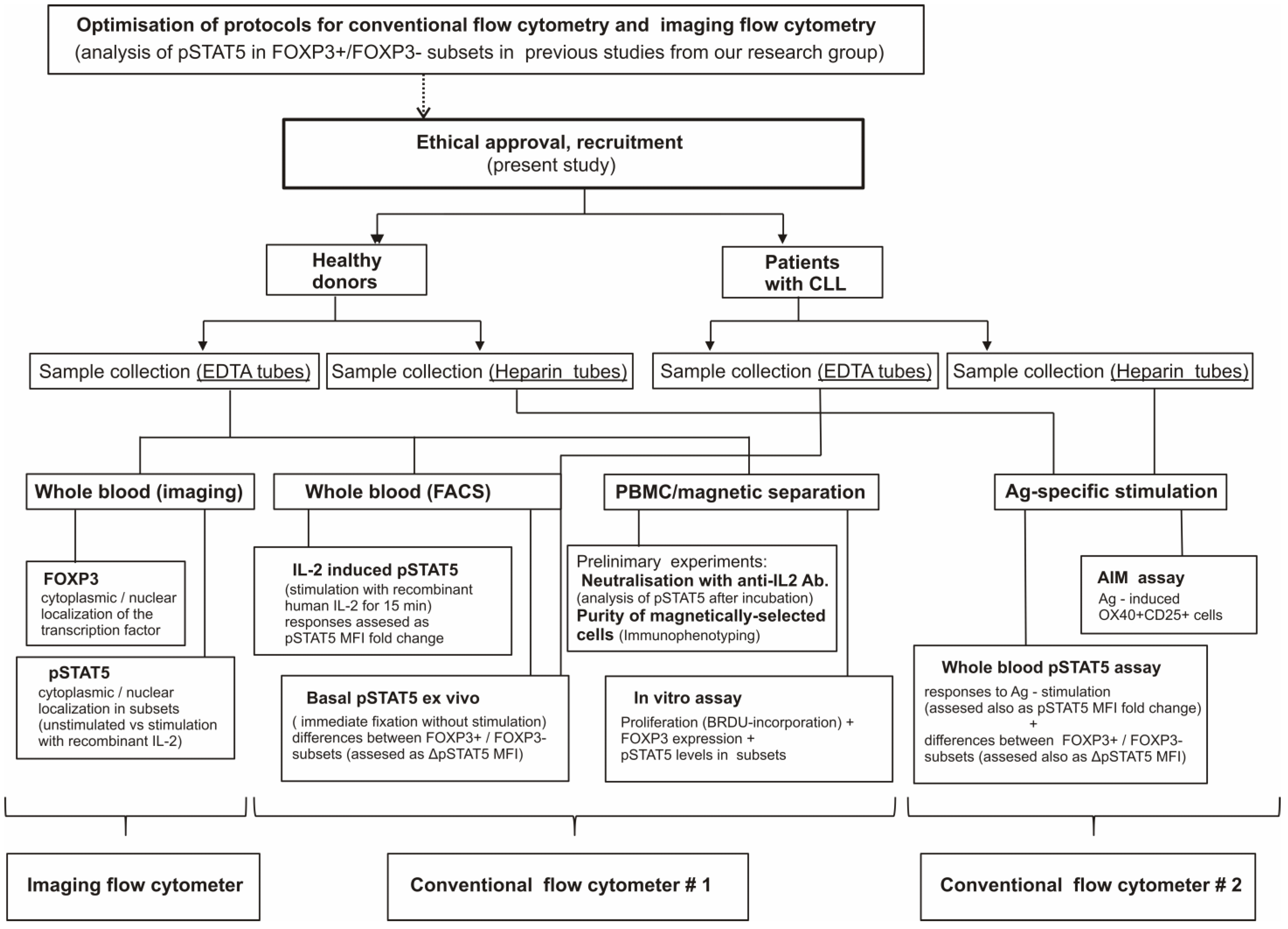 Biosensors 13 00539 g001 Biosensors 13 00539 g001