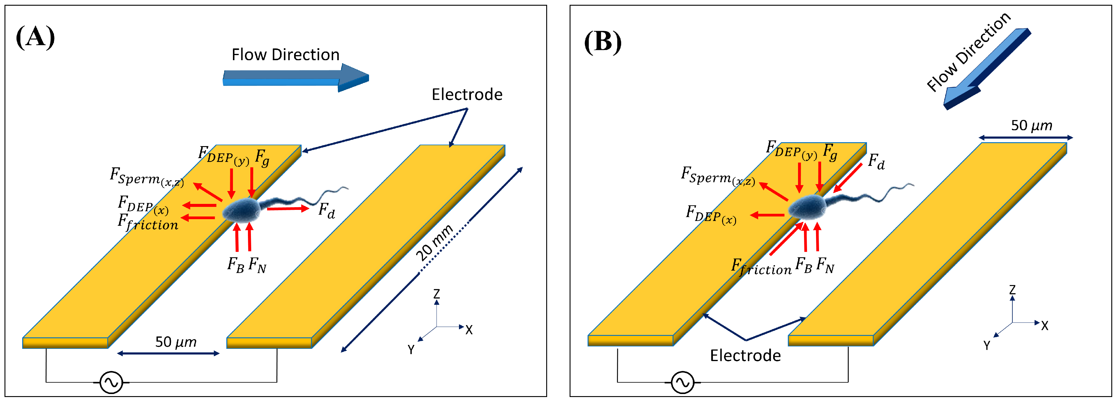 Biosensors 13 00540 g001