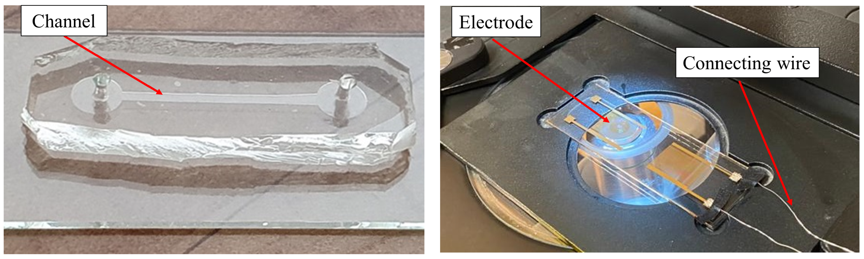 Biosensors 13 00540 g002