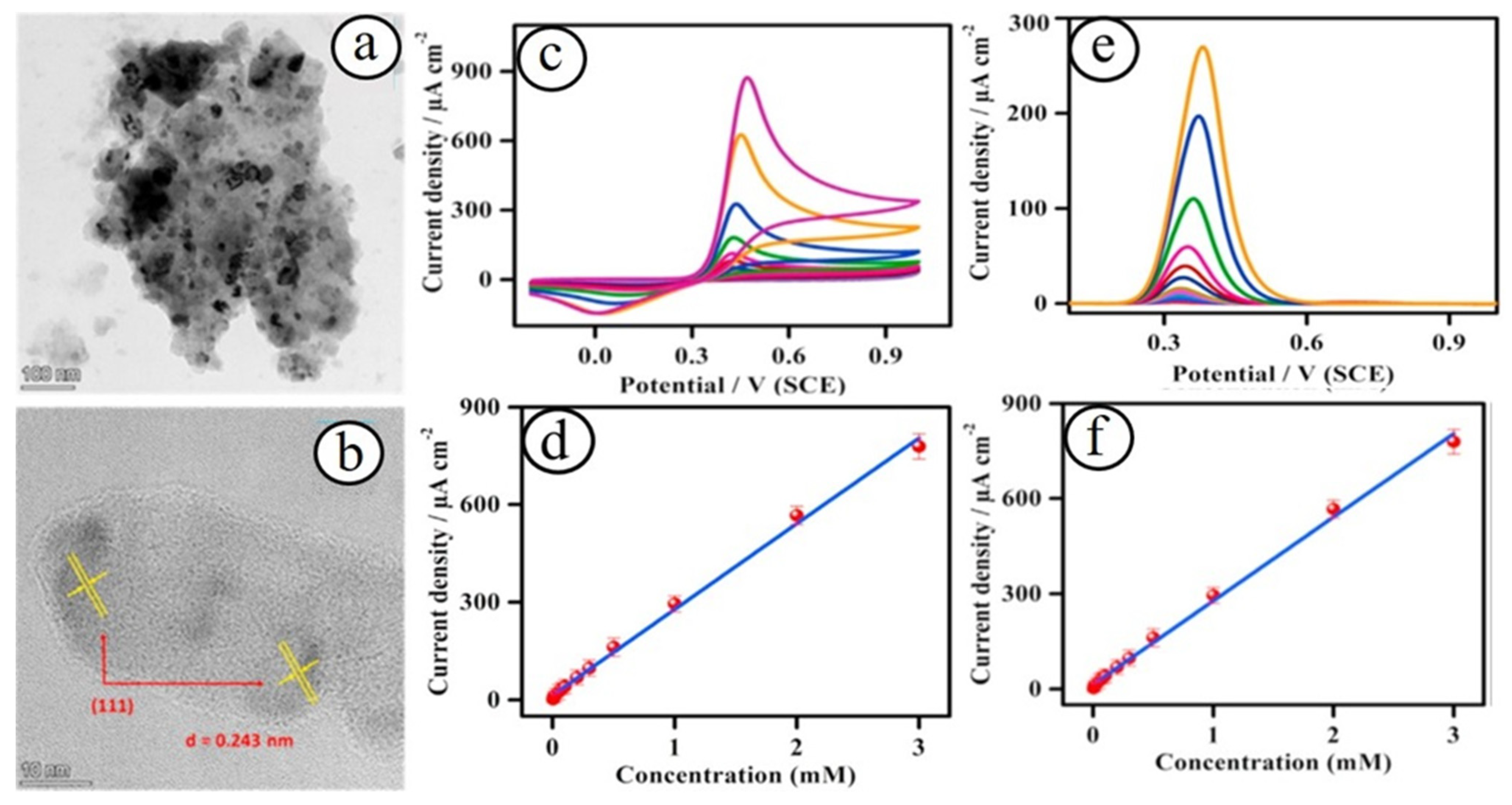 Biosensors 13 00542 g001