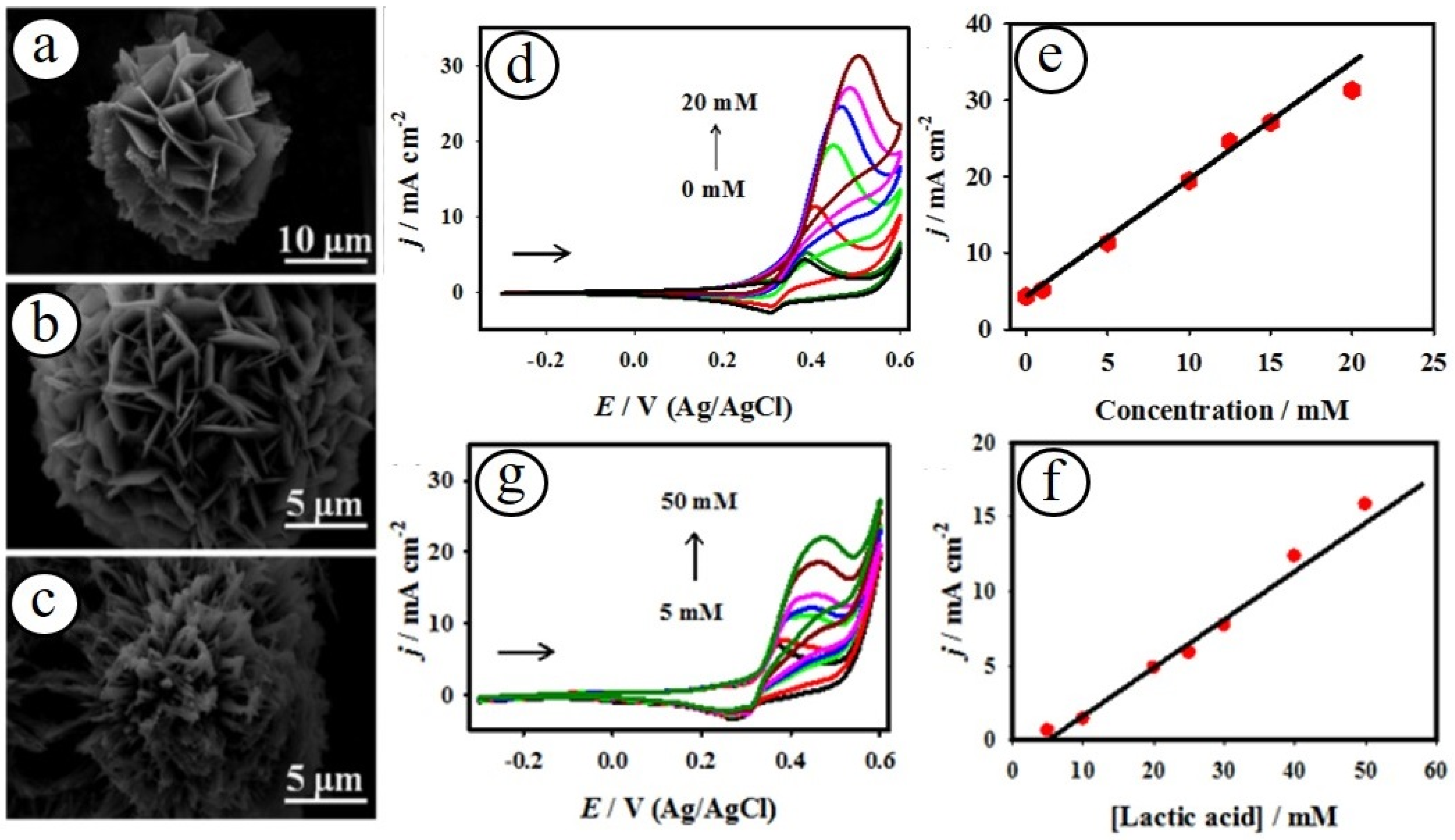 Biosensors 13 00542 g002