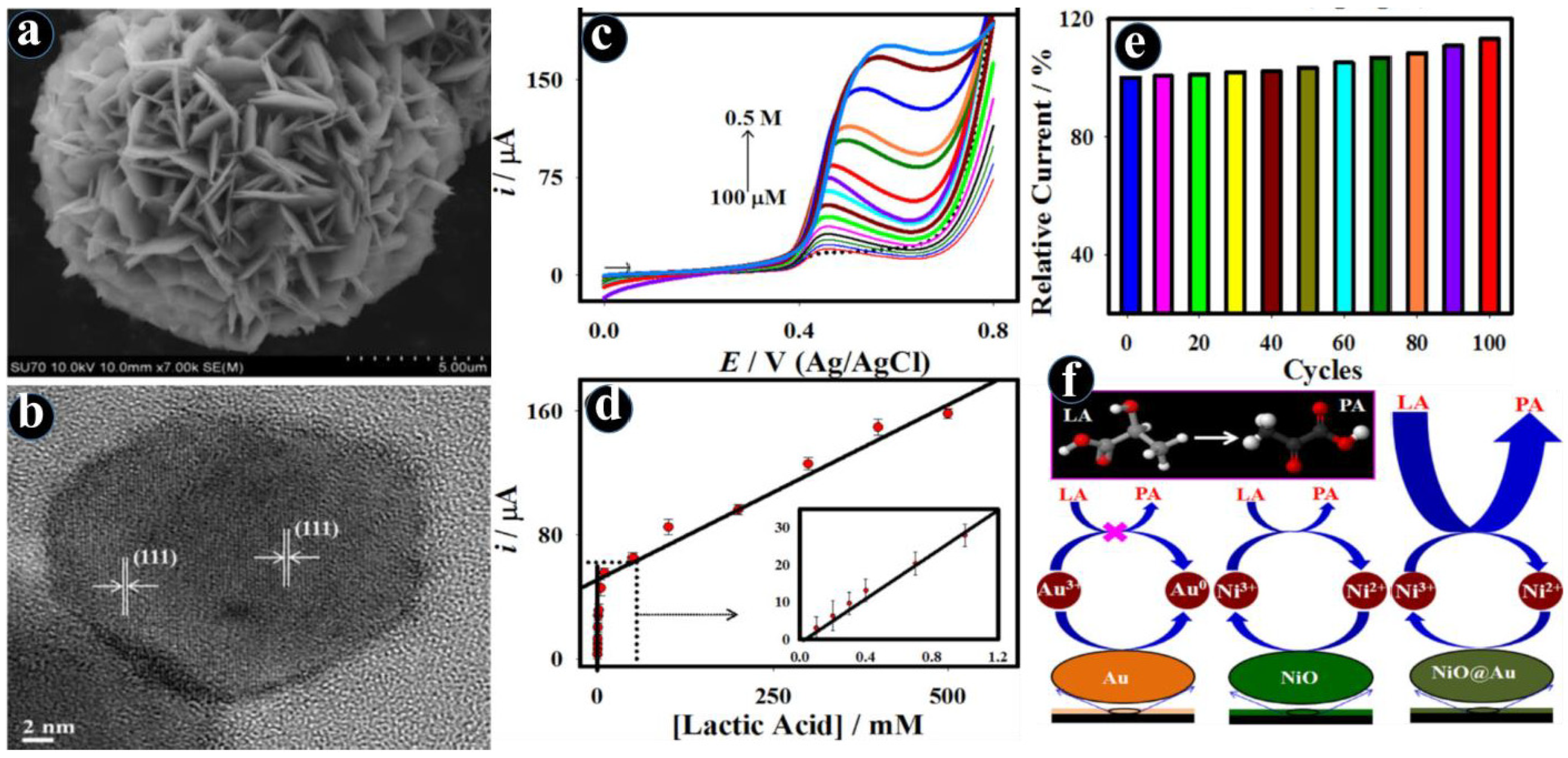 Biosensors 13 00542 g003