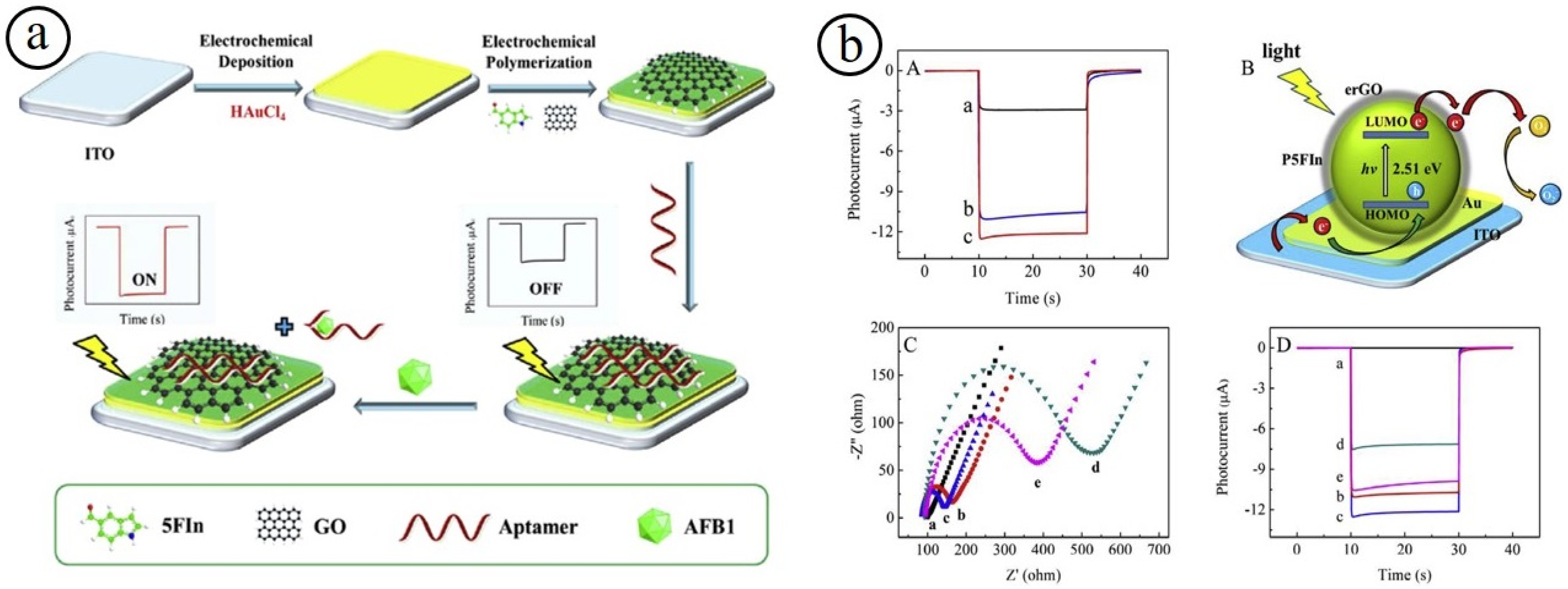 Biosensors 13 00542 g005