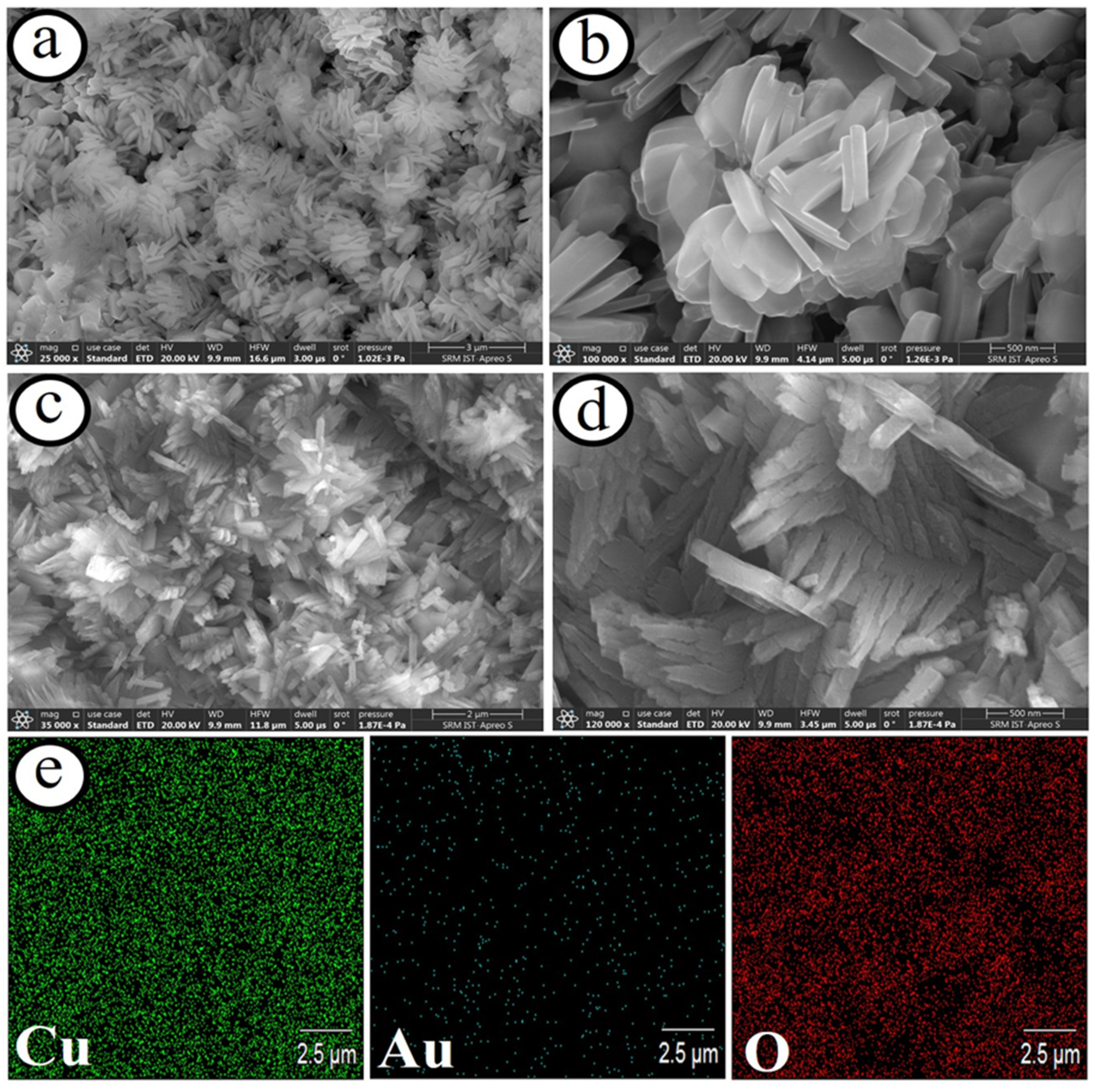 Biosensors 13 00542 g006
