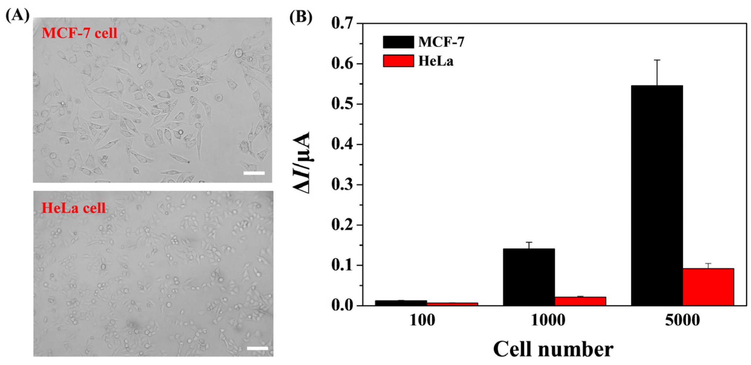 Hybridization Chain Reaction-Based Electrochemical