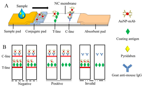Monoclonal Antibody-Based Colorimetric Lateral Flow
