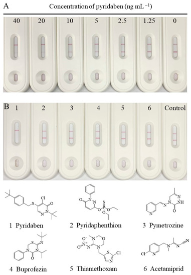 テスト Monoclonal Antibody-Based Colorimetric Lateral Flow Immunoassay