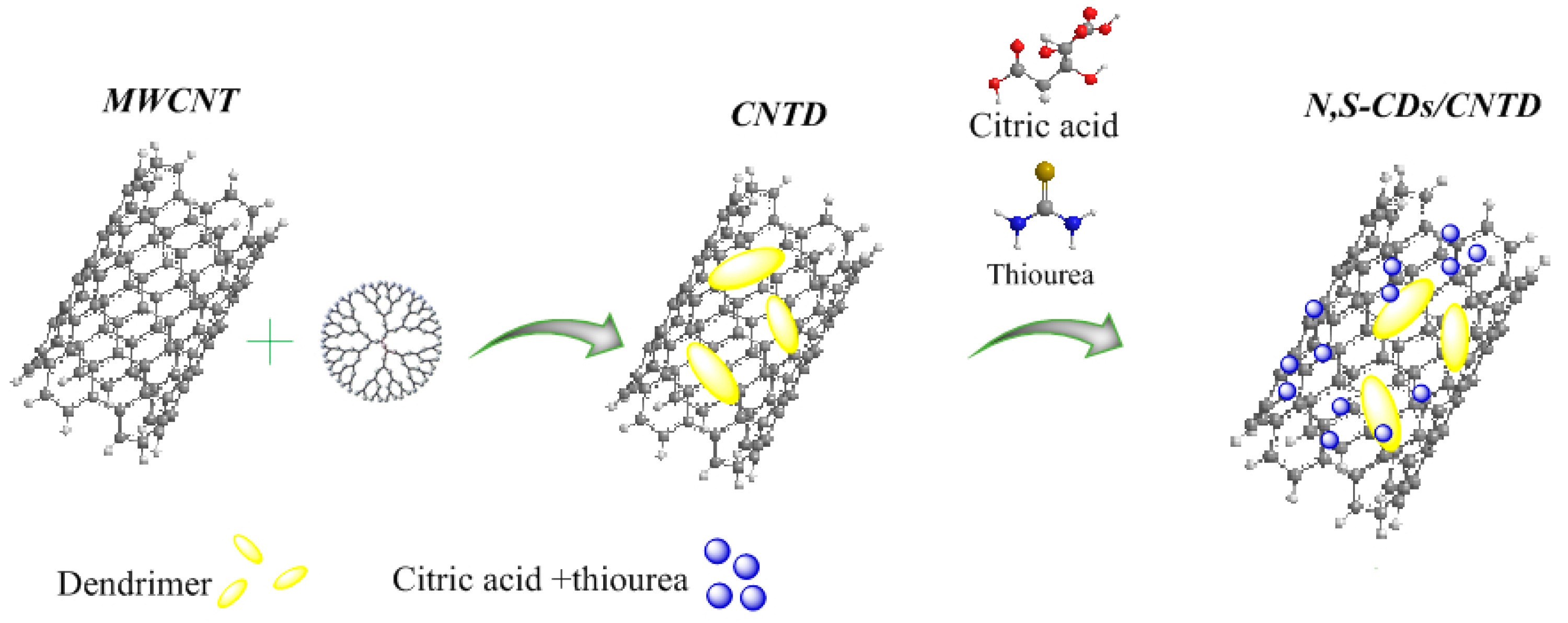 Biosensors 13 00547 sch001 Biosensors 13 00547 sch001