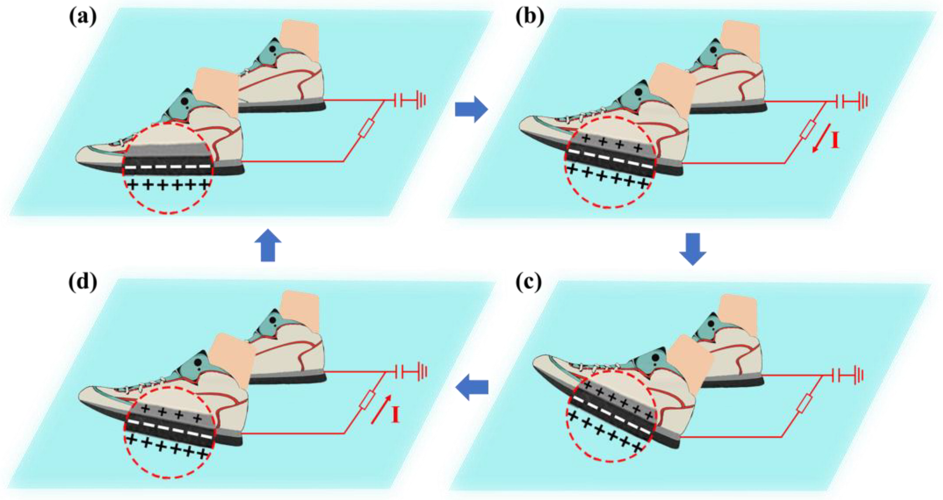 Biosensors 13 00548 g002